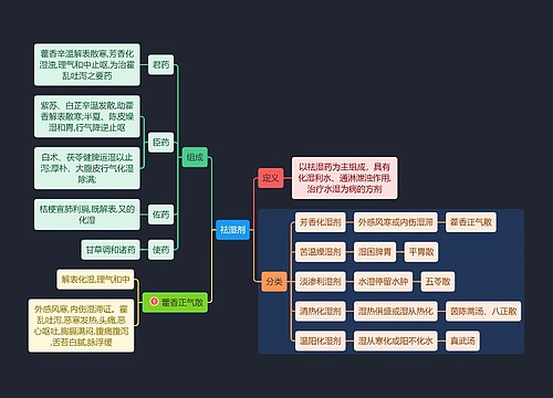 医学知识祛湿剂思维导图