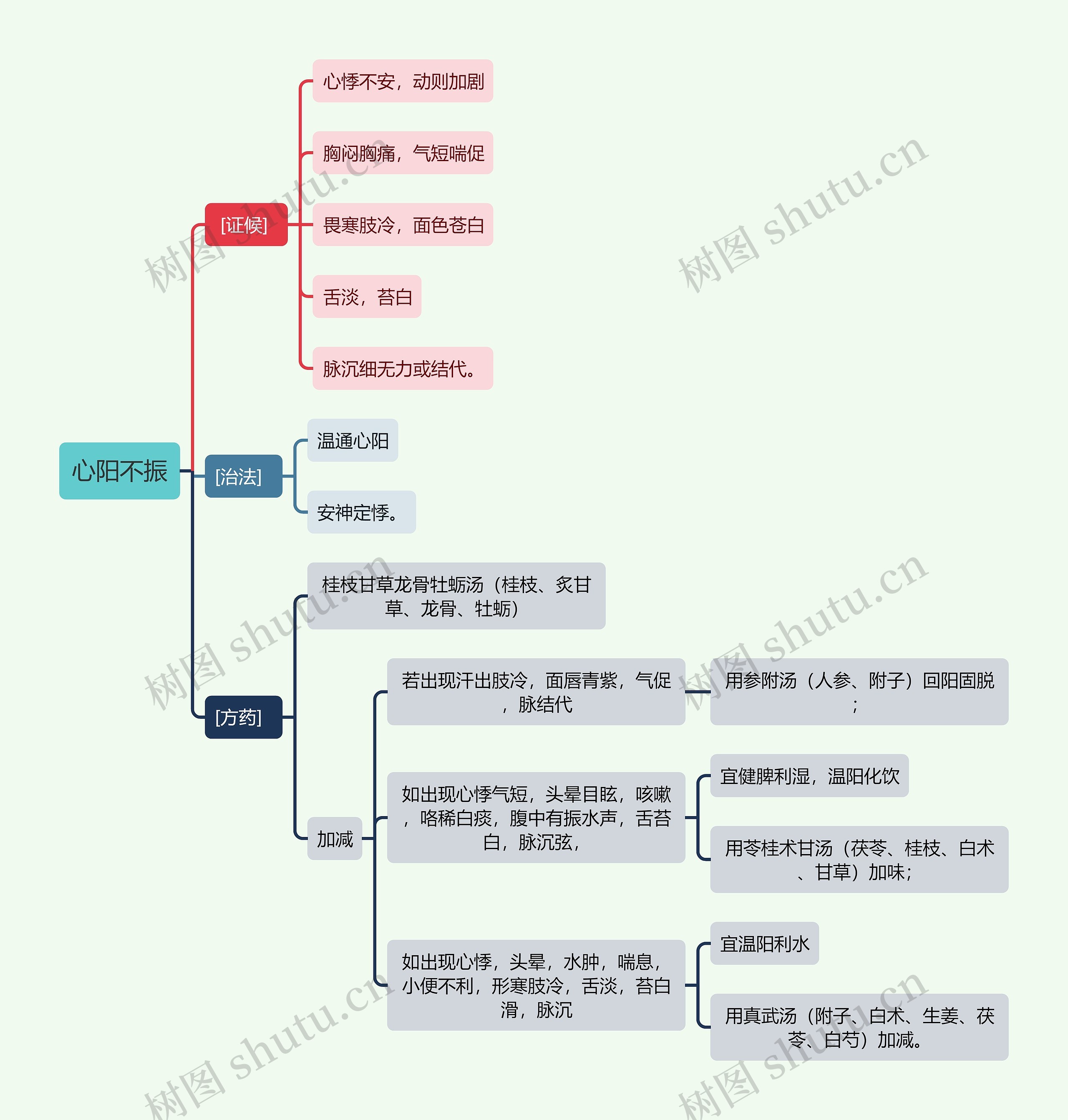 中医知识心阳不振思维导图