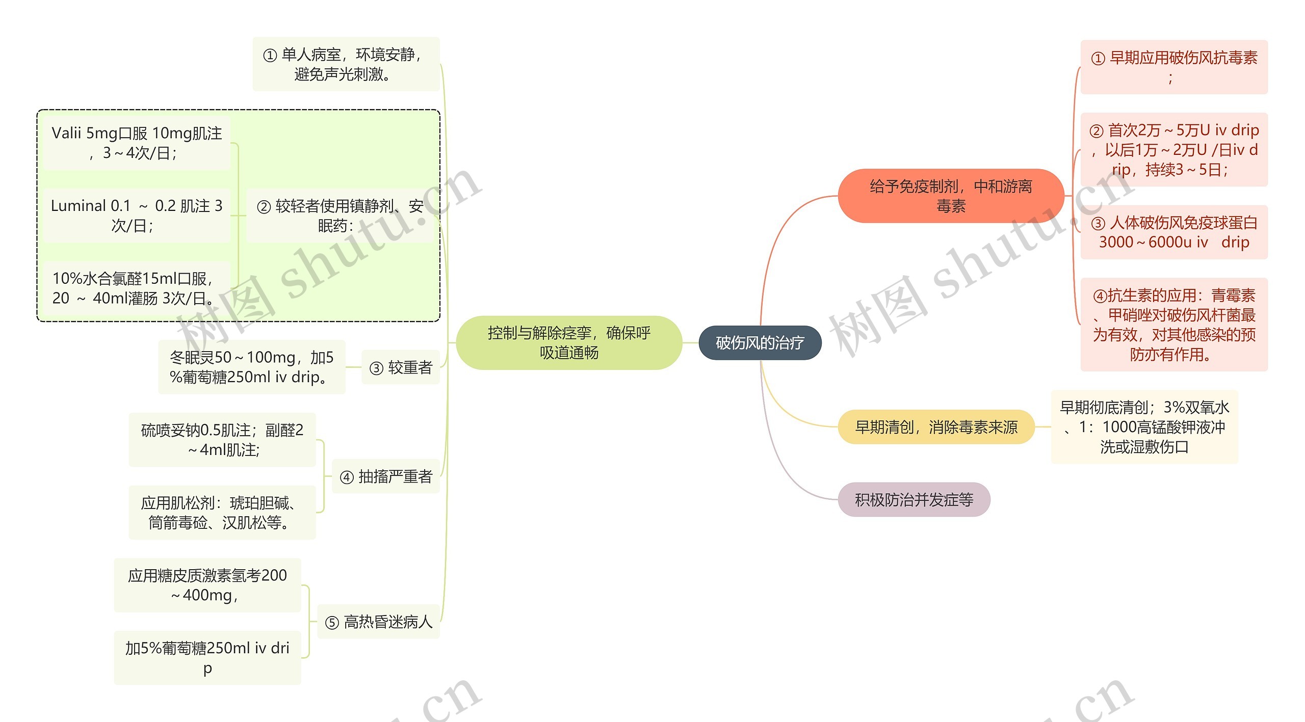 医学知识破伤风的治疗思维导图