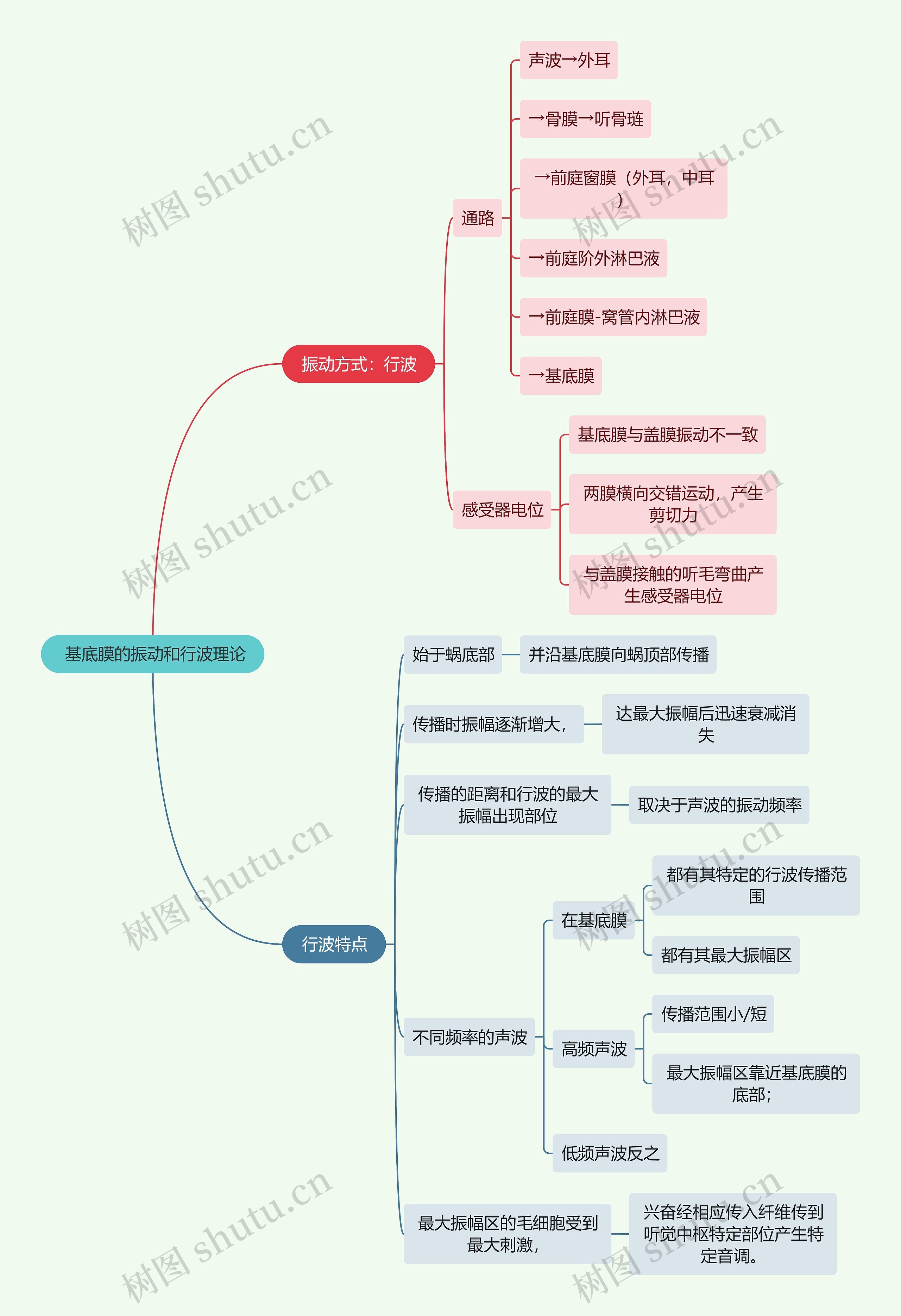  医学知识基底膜的振动和行波理论思维导图