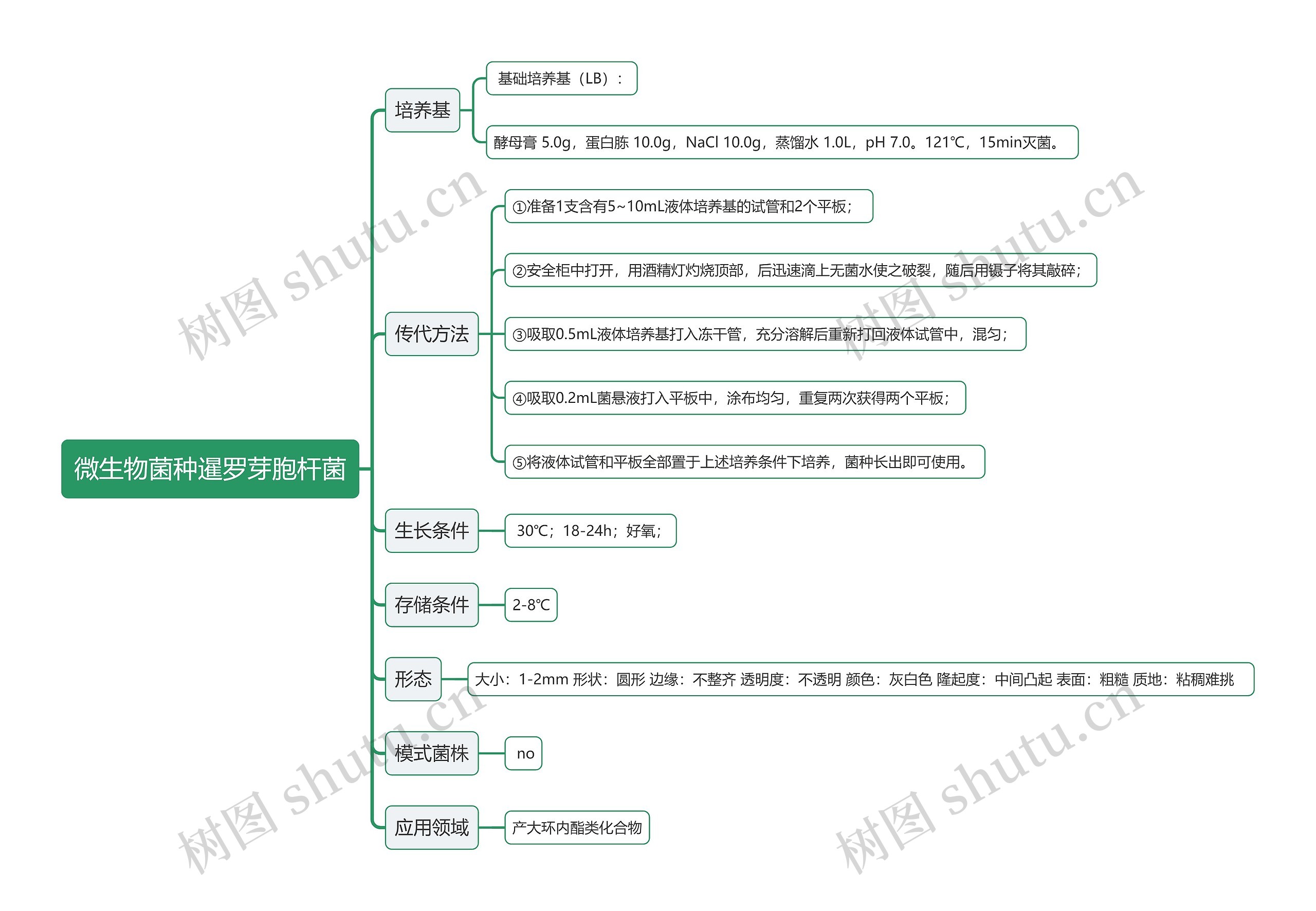 微生物菌种暹罗芽胞杆菌思维导图