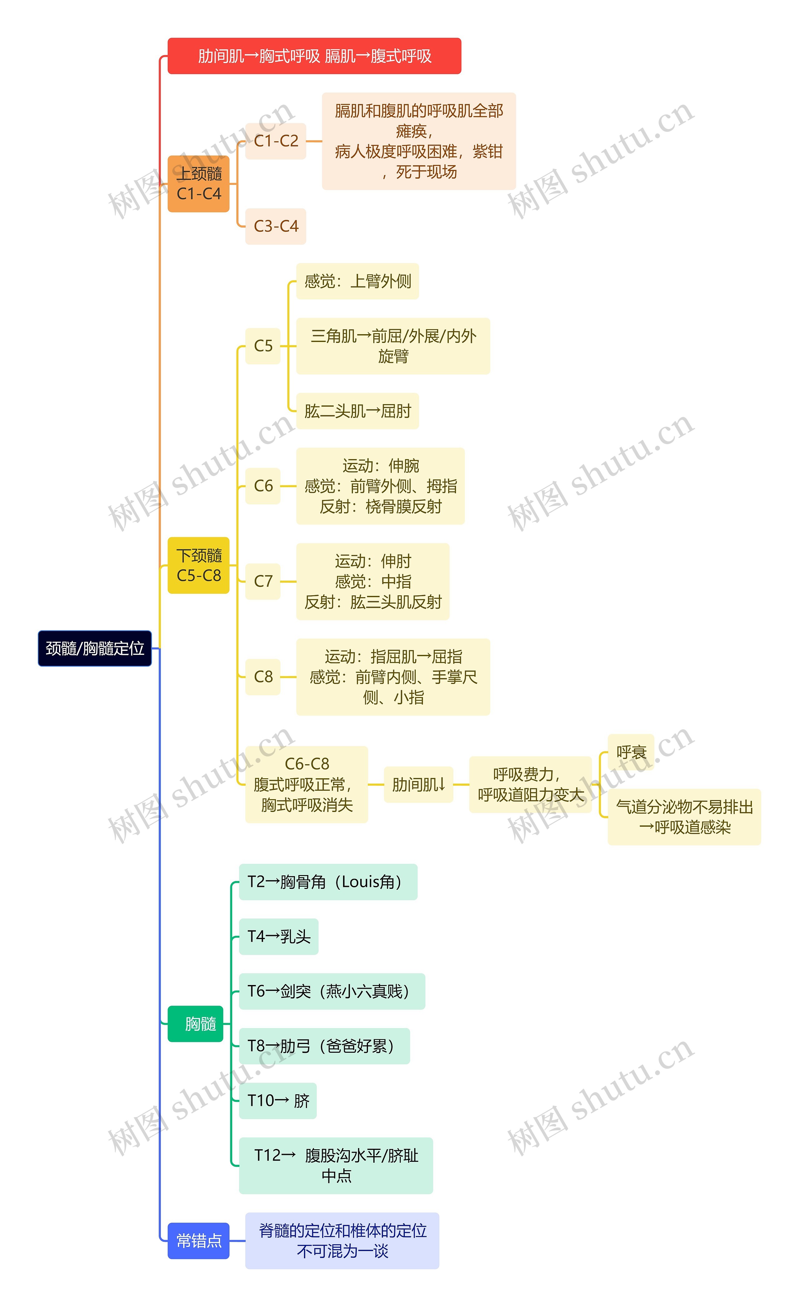 骨学知识颈髓/胸髓定位思维导图