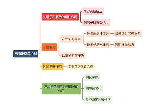 医学知识节育器避孕机制思维导图