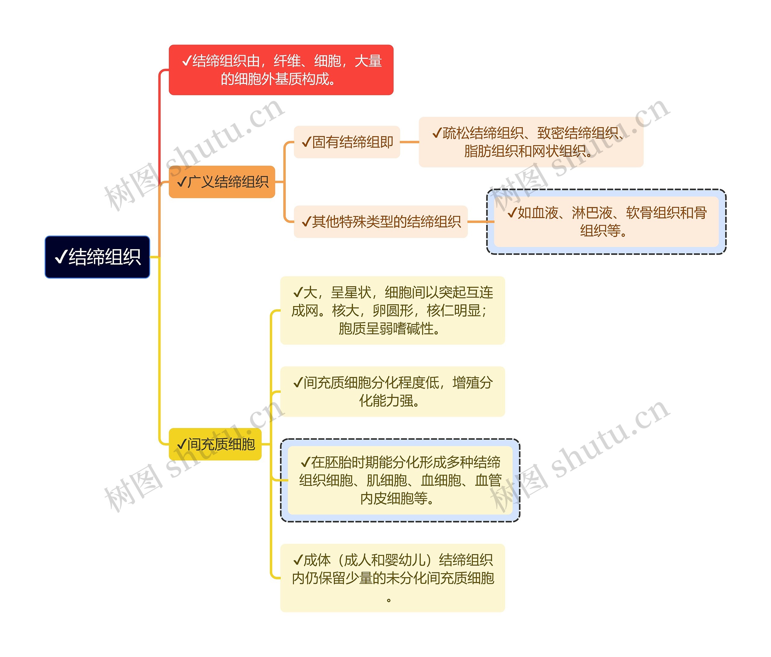 医学知识结缔组织思维导图