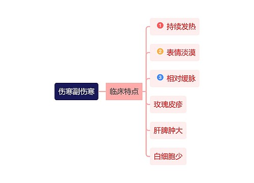 医学知识伤寒临床特点思维导图