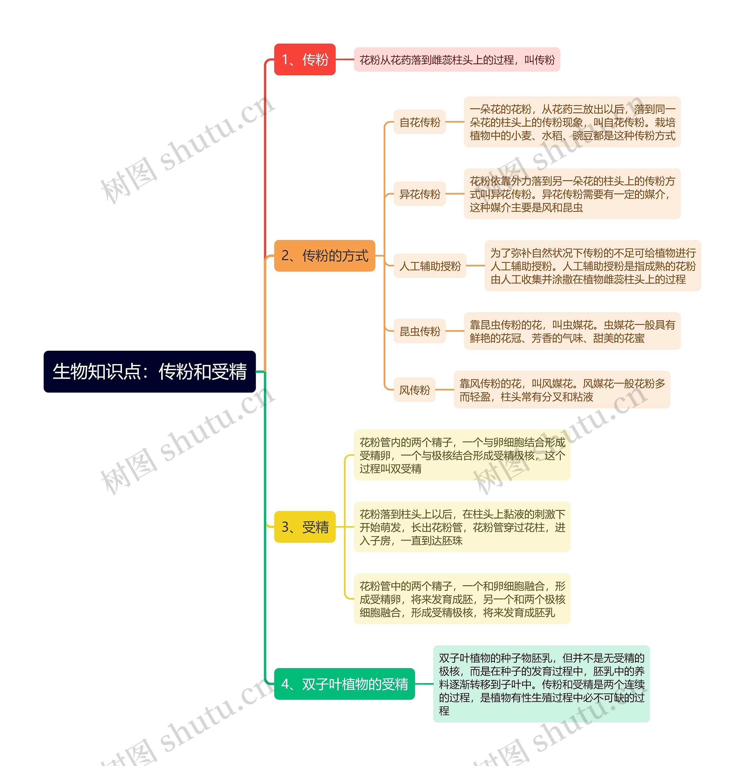 生物知识点：传粉和受精