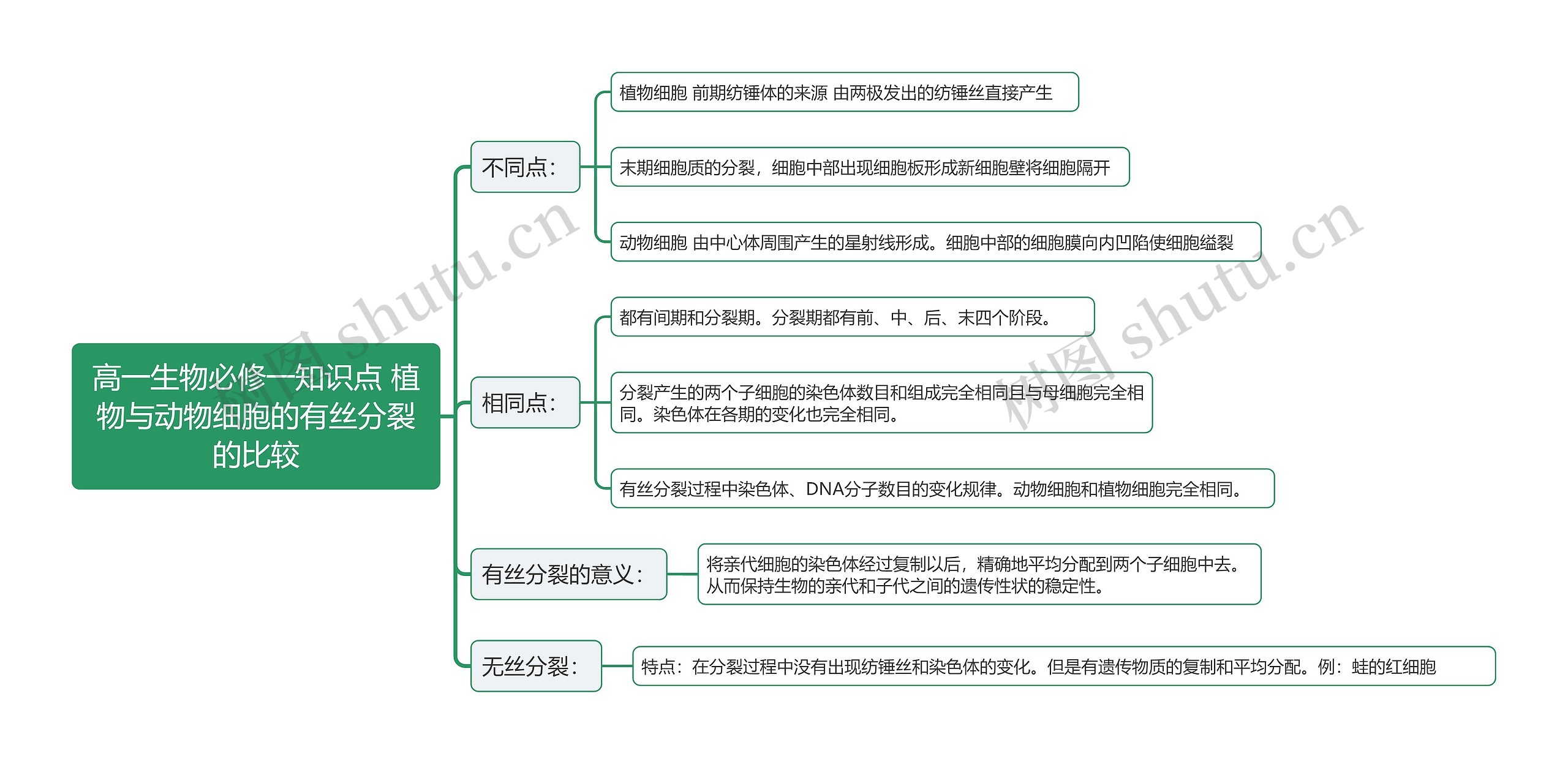 高一生物必修一知识点 植物与动物细胞的有丝分裂的比较