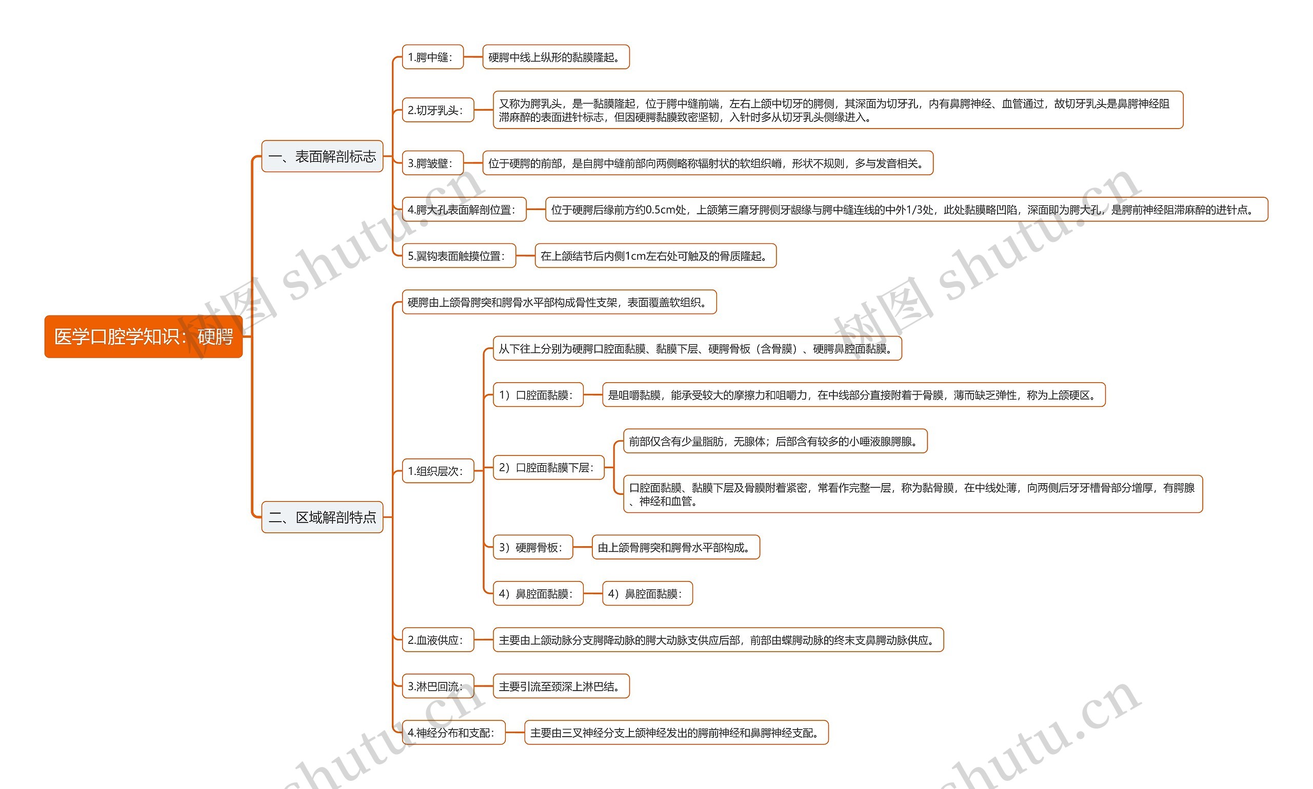 医学口腔学知识：硬腭思维导图