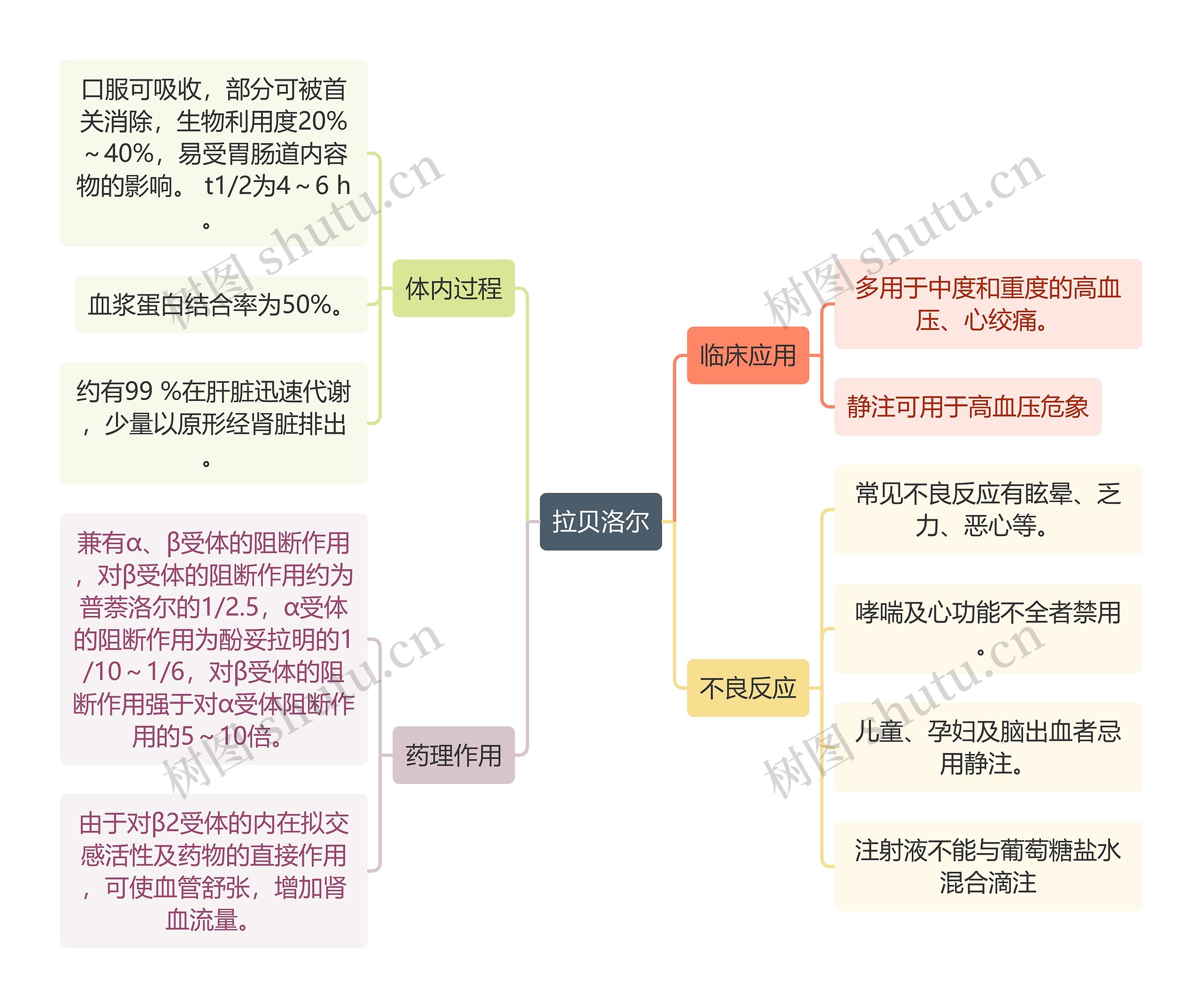 医学知识拉贝洛尔思维导图