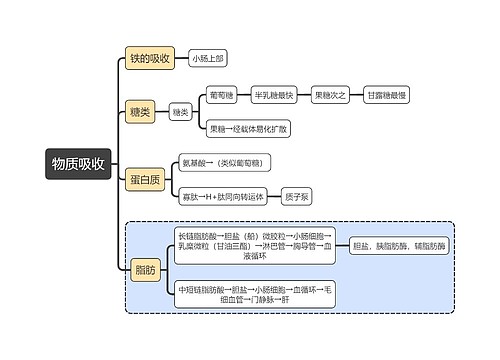 医学知识物质吸收思维导图