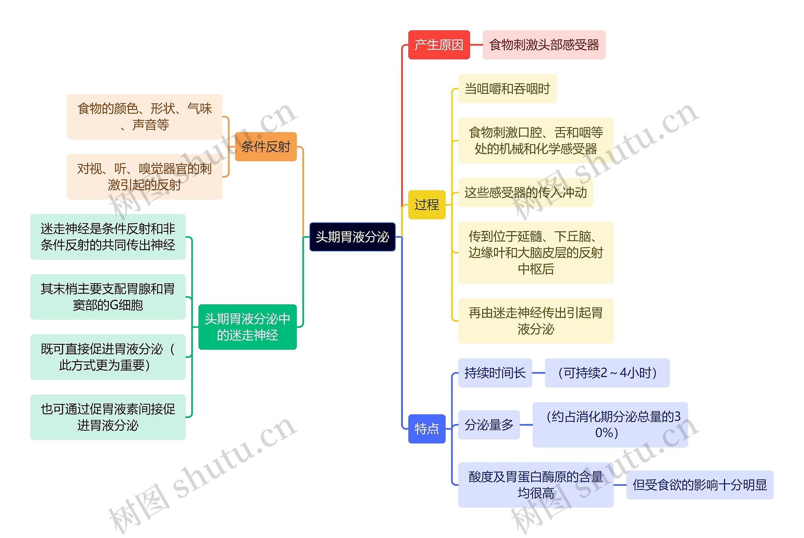 医学知识头期胃液分泌思维导图