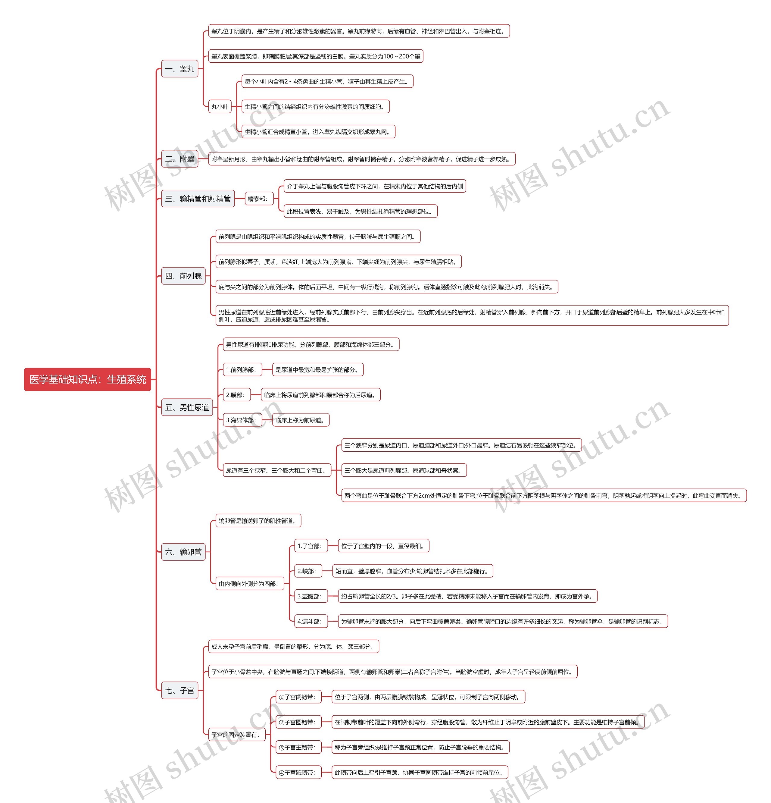 医学基础知识点：生殖系统思维导图