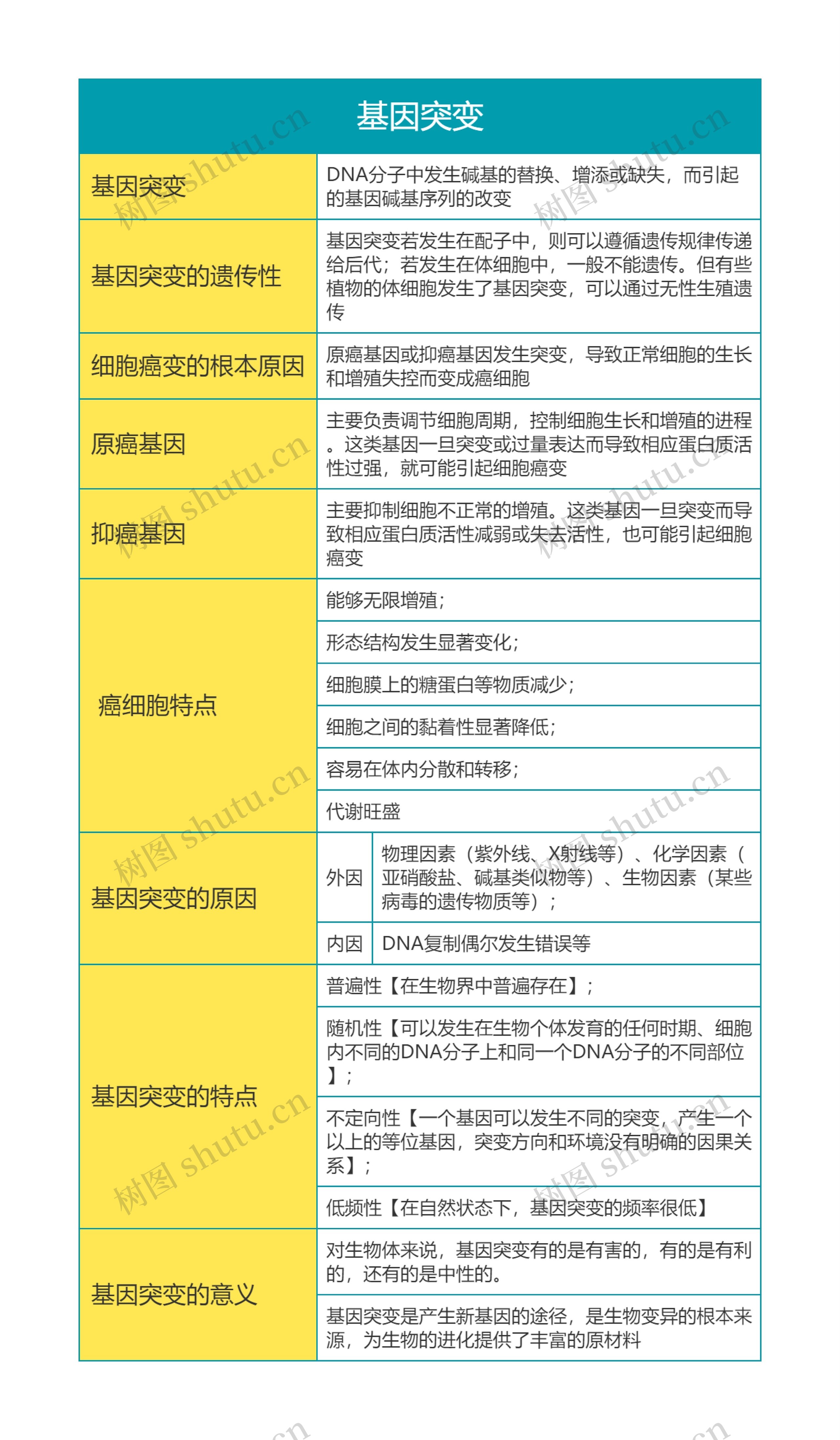 高中生物必修二第四单元基因突变思维导图