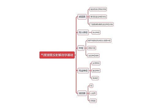 医学气管插管反射解剖学基础思维导图