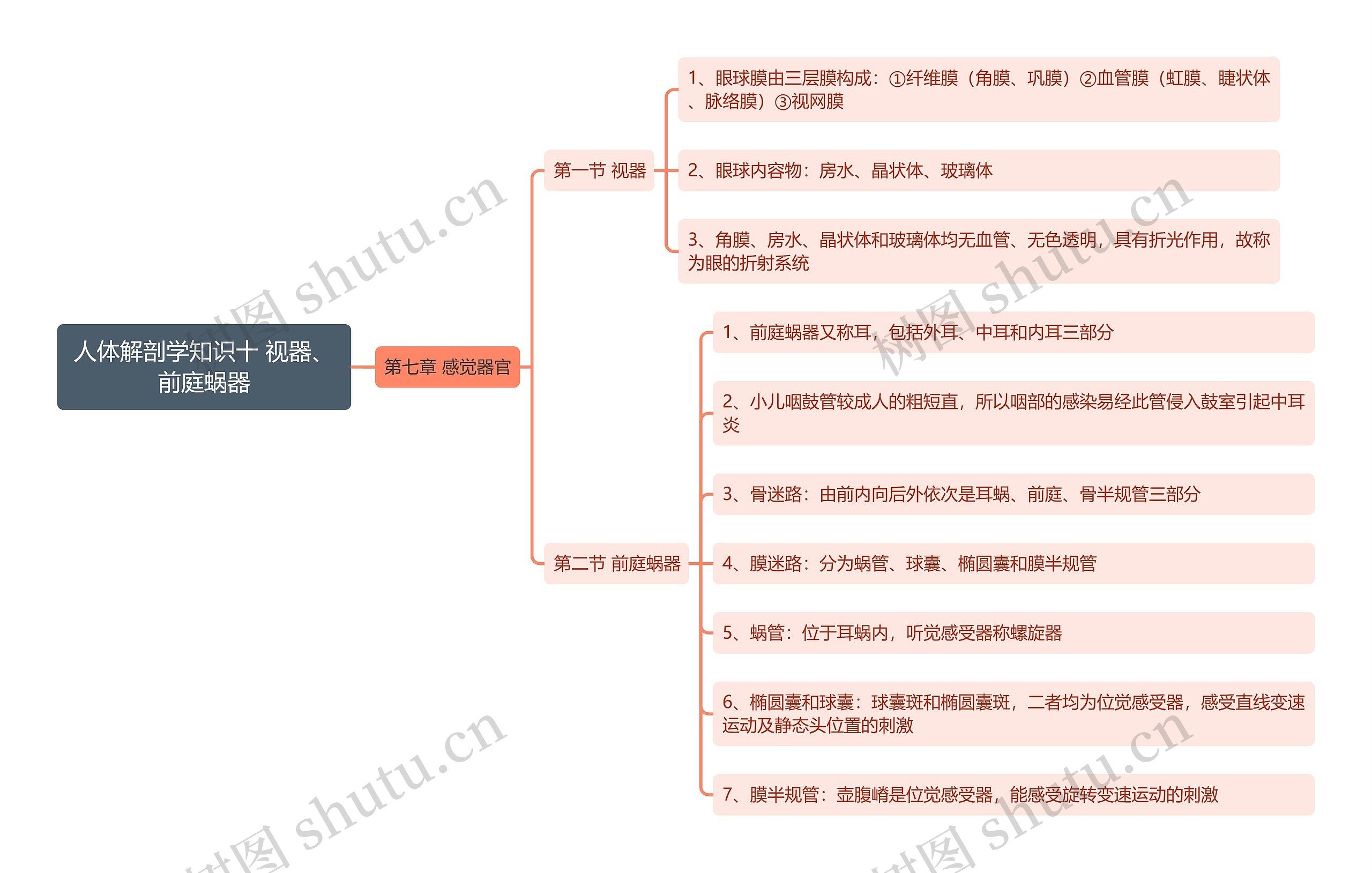 《人体解剖学知识十 视器、前庭蜗器》思维导图