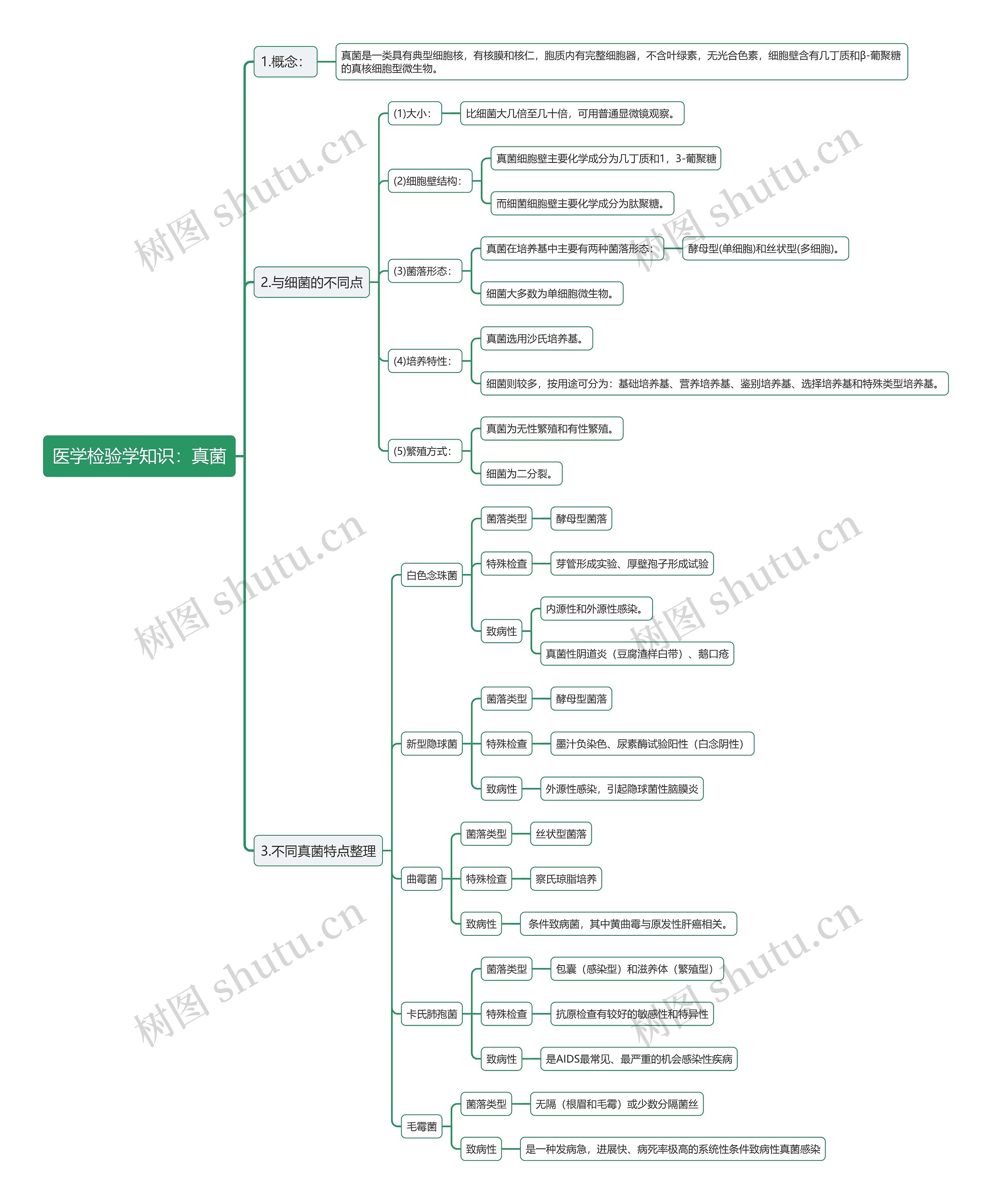 医学检验学知识：真菌思维导图