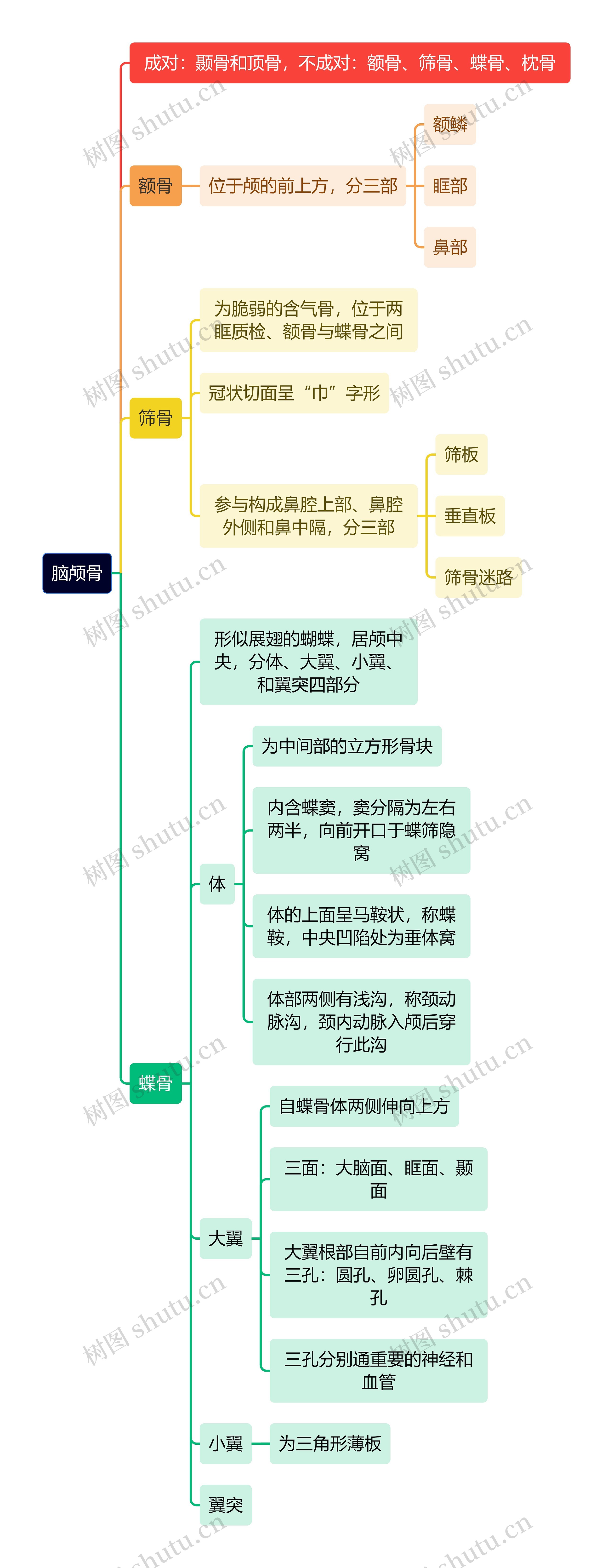 解剖学知识脑颅骨思维导图