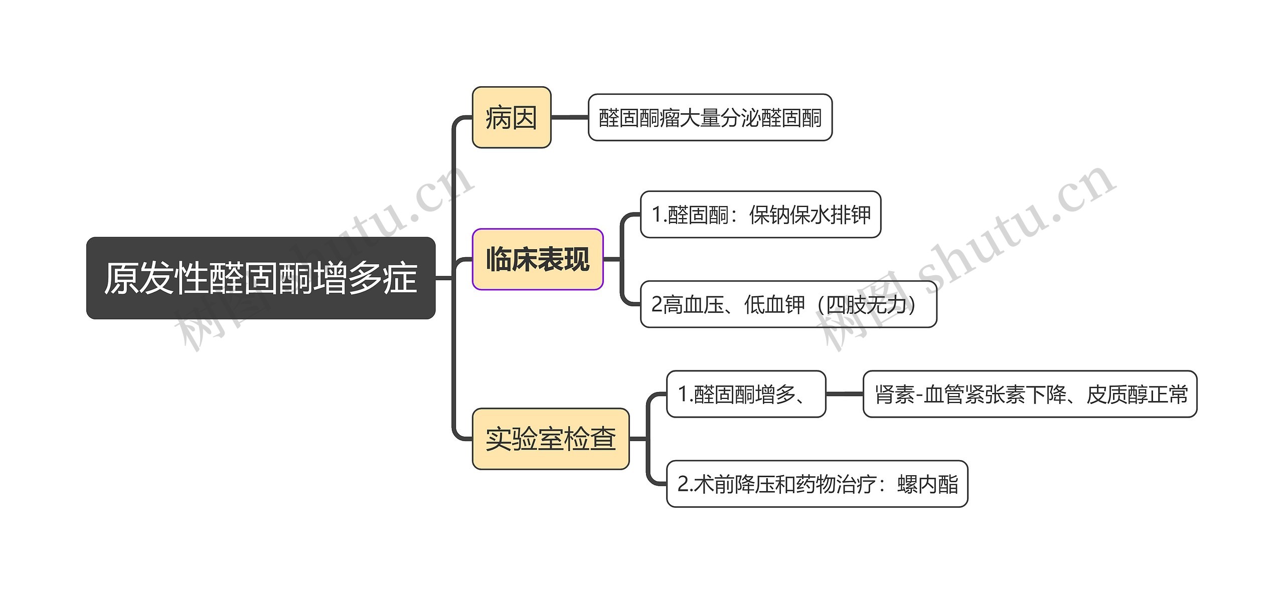 内科学知识原发性醛固酮增多症思维导图