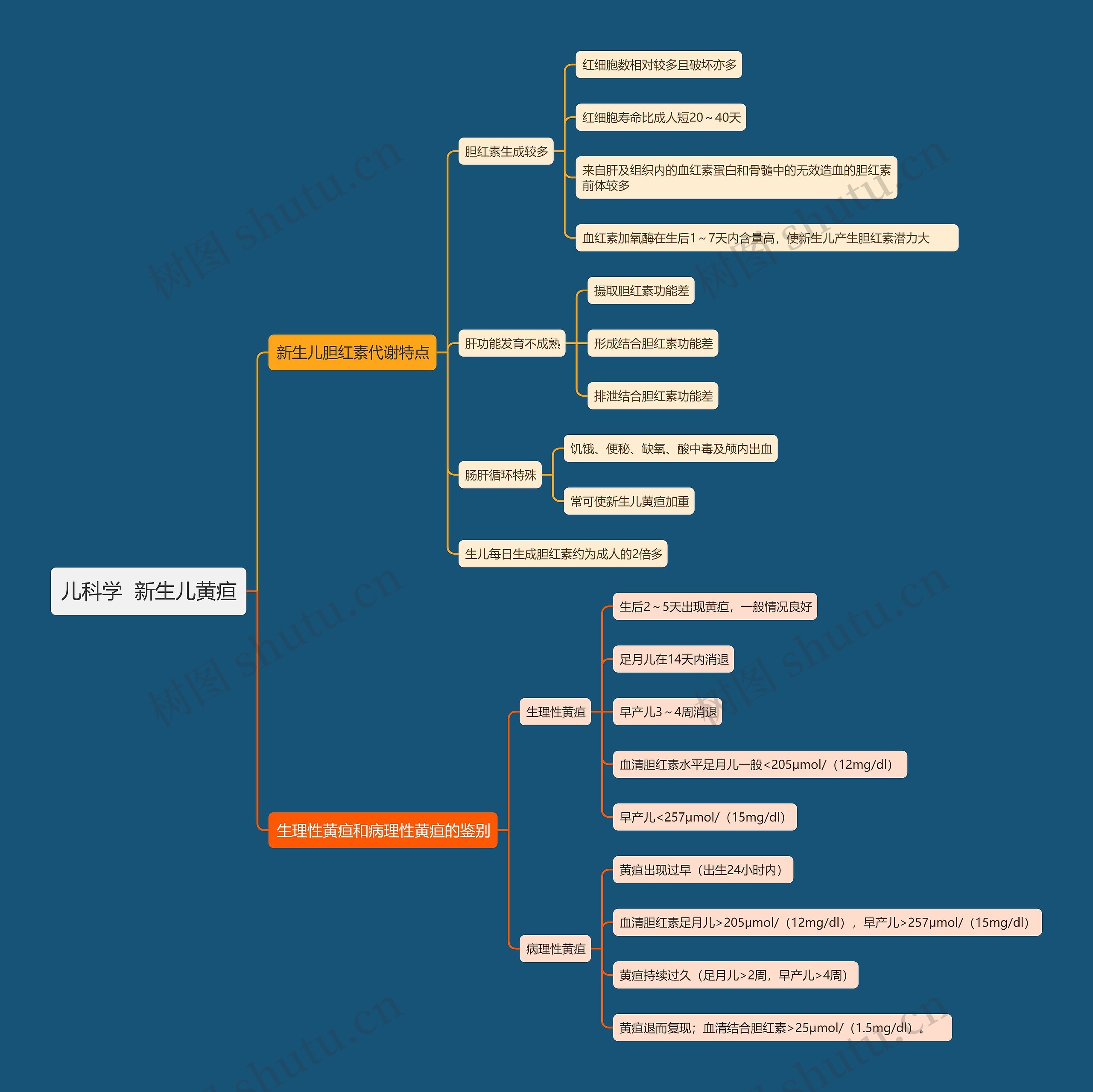 儿科学  新生儿黄疸思维导图
