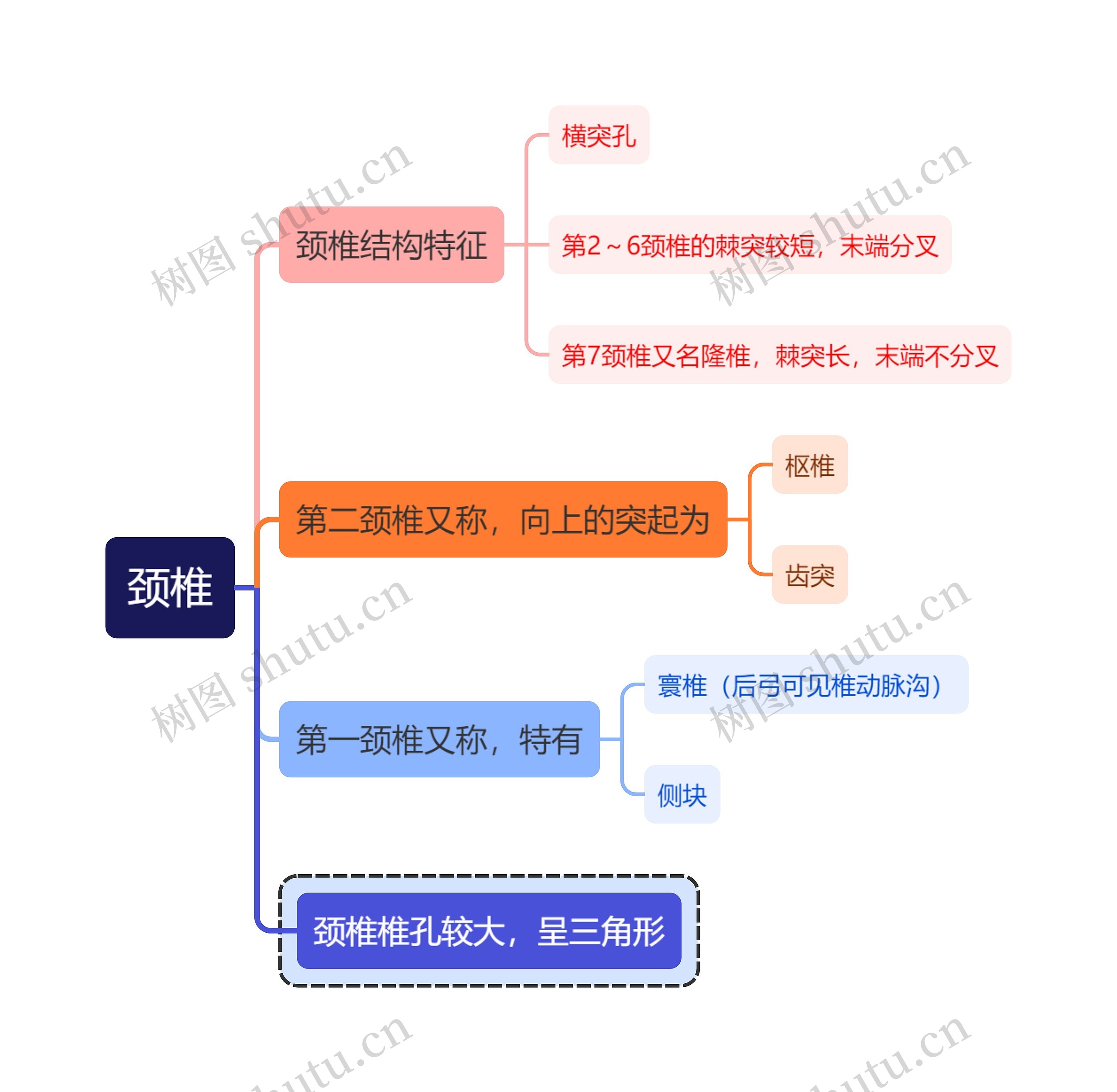 医学知识颈椎思维导图