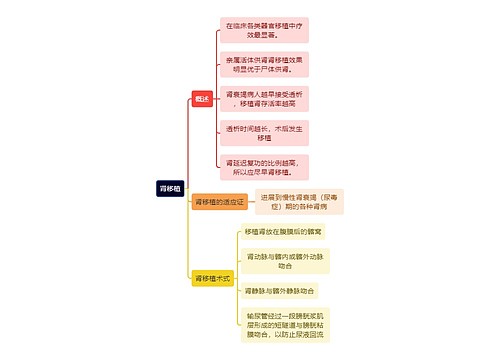 医学知识肾移植思维导图