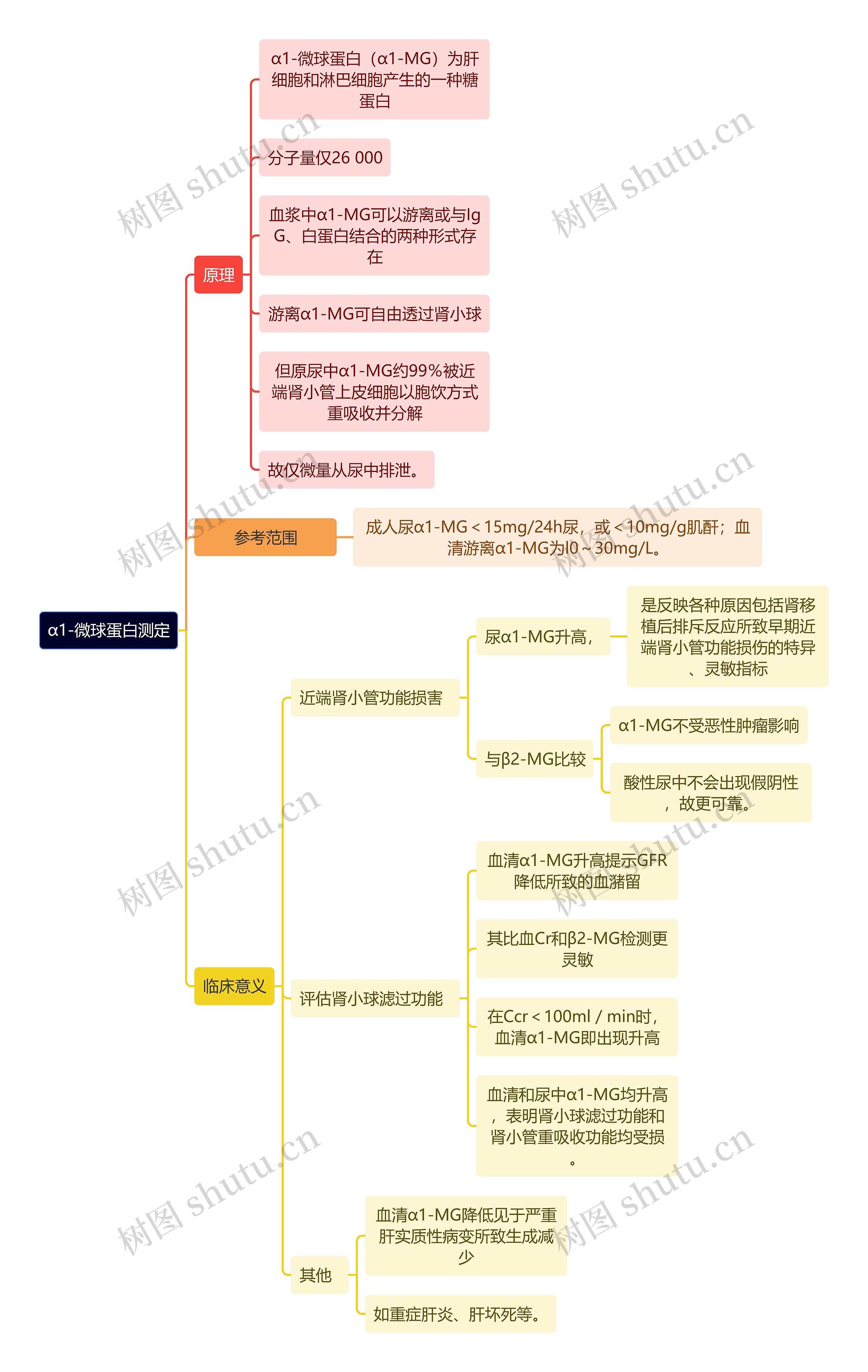 医学知识α1-微球蛋白测定思维导图