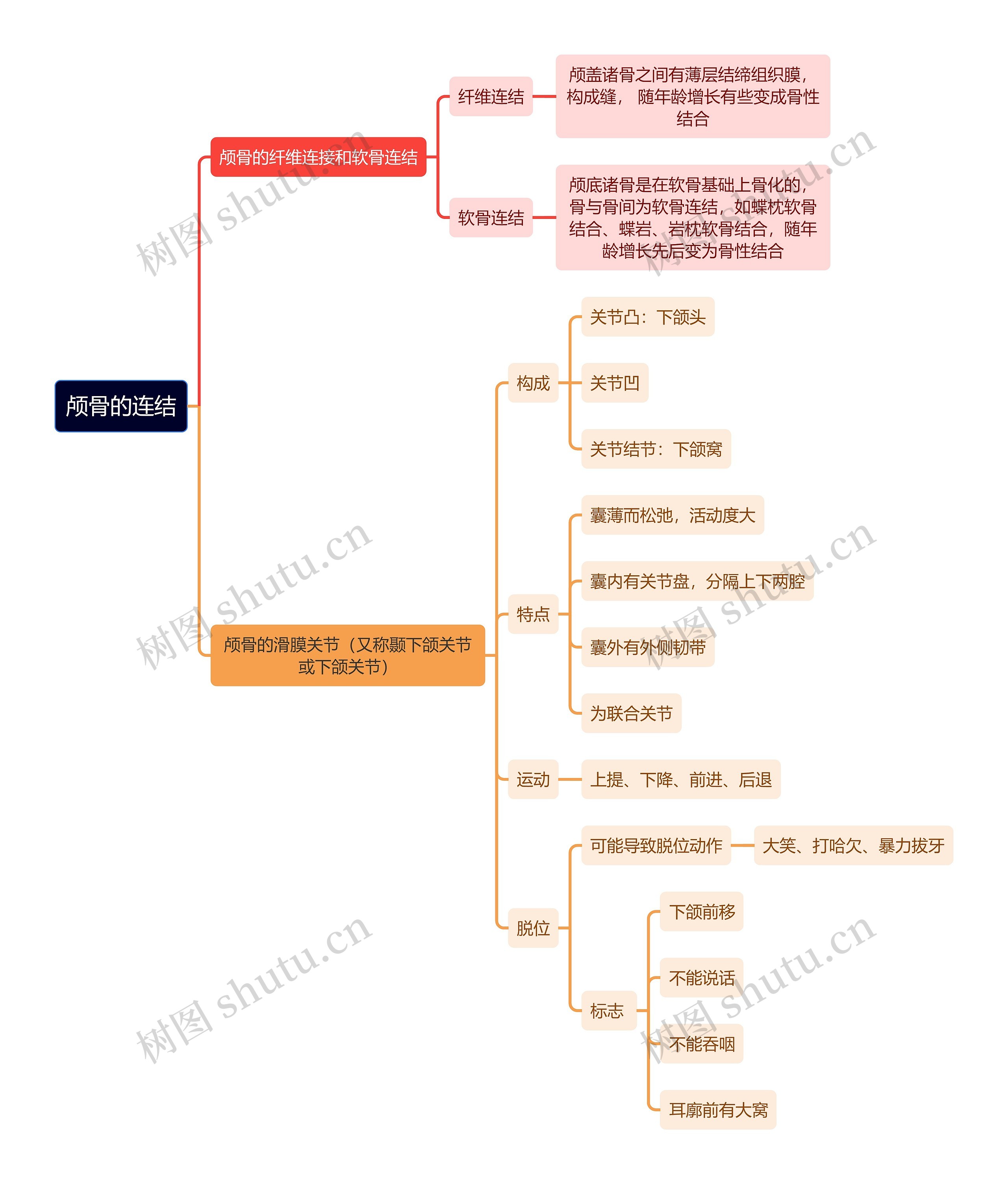 解剖学知识颅骨的连结思维导图