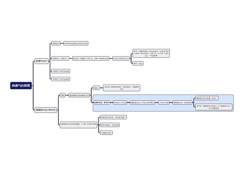 医学知识肺通气的原理思维导图