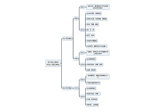 中医知识手太阳小肠经和手少阳三焦经思维导图