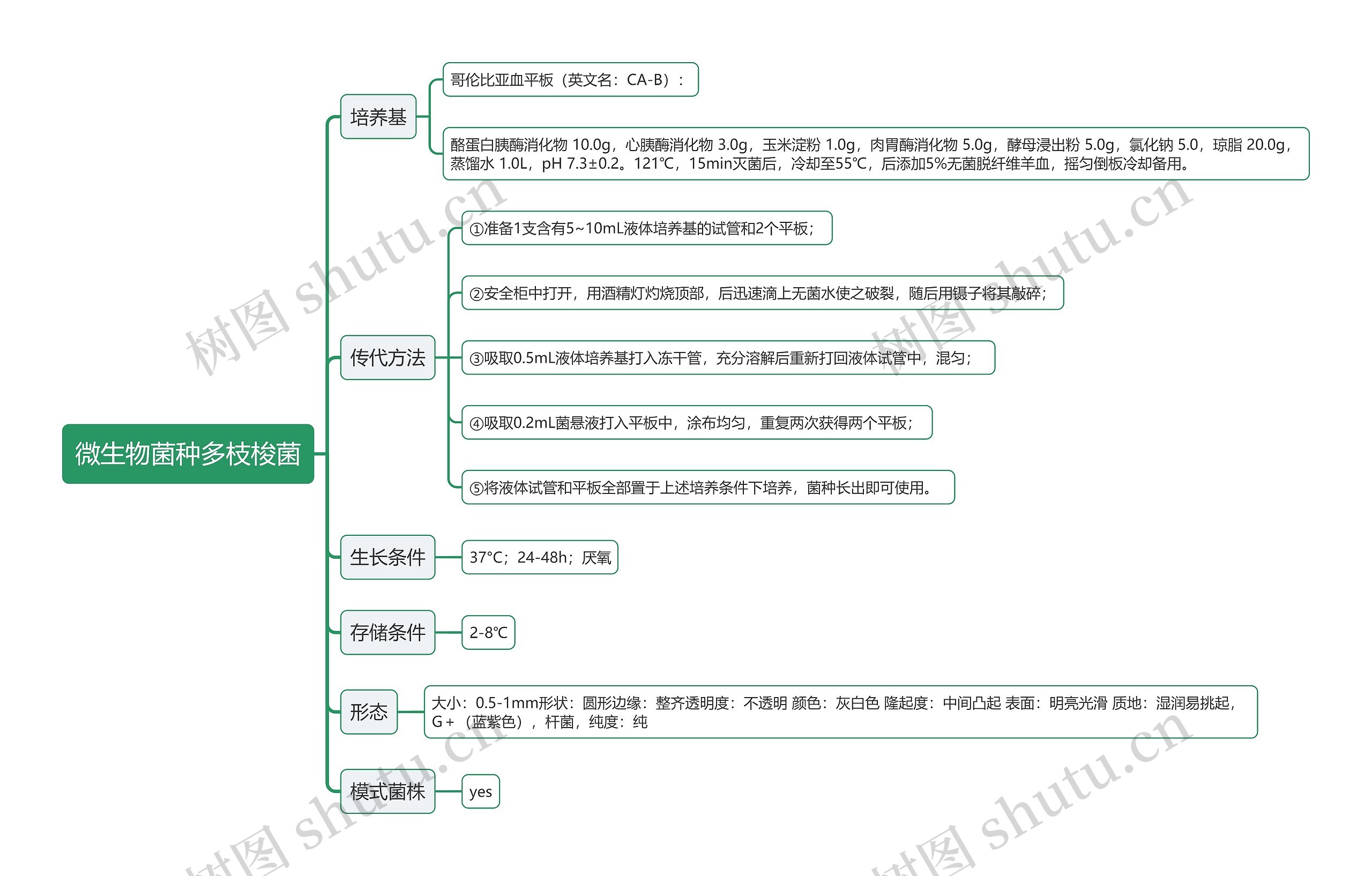 微生物菌种多枝梭菌思维导图