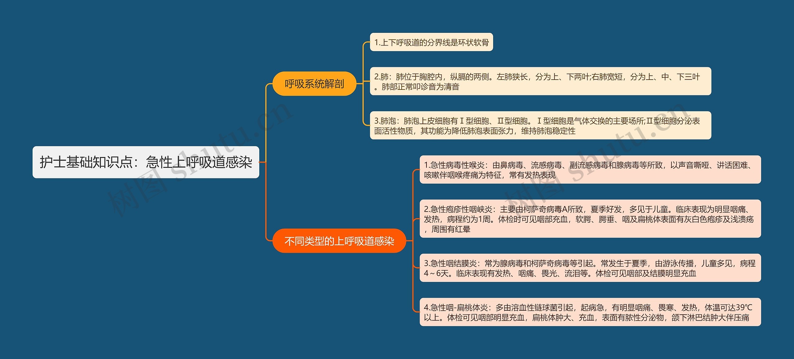 护士基础知识点：急性上呼吸道感染思维导图