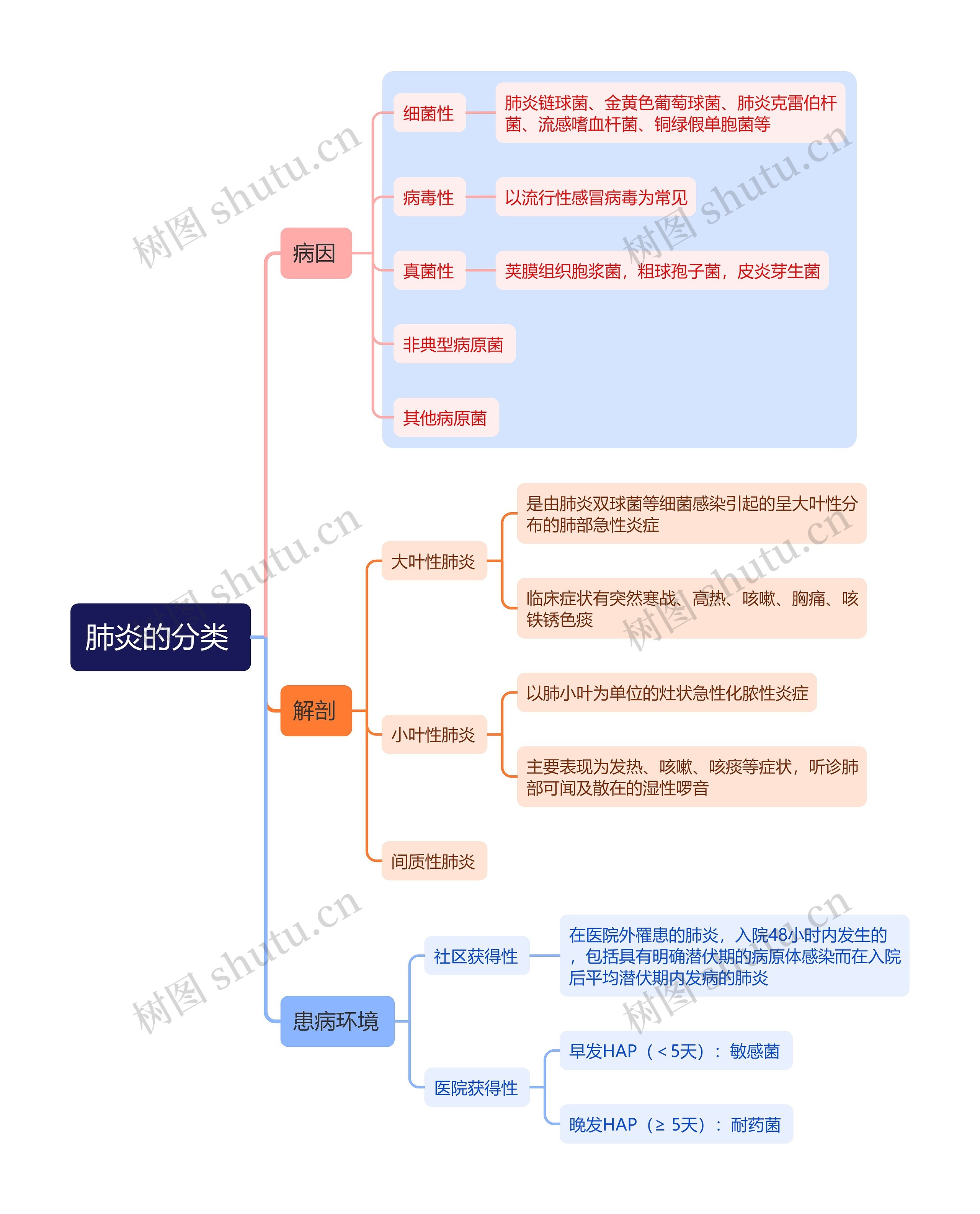 医学知识肺炎的分类思维导图