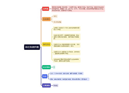 砖红色微杆菌