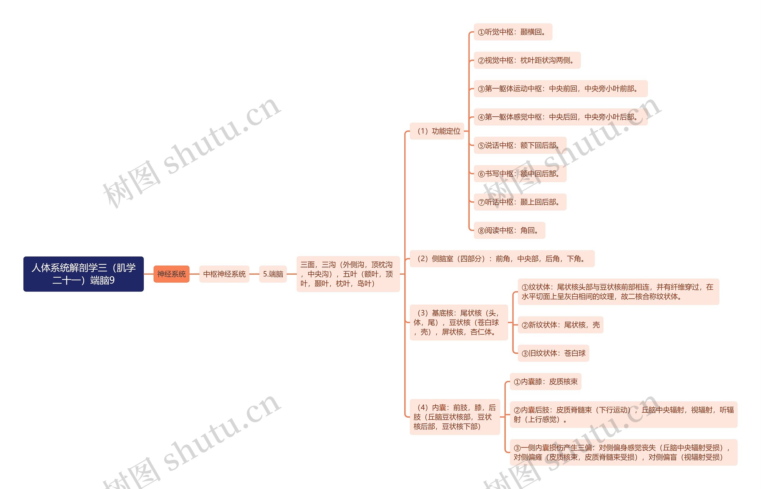 《人体系统解剖学三（肌学二十一）端脑9》思维导图