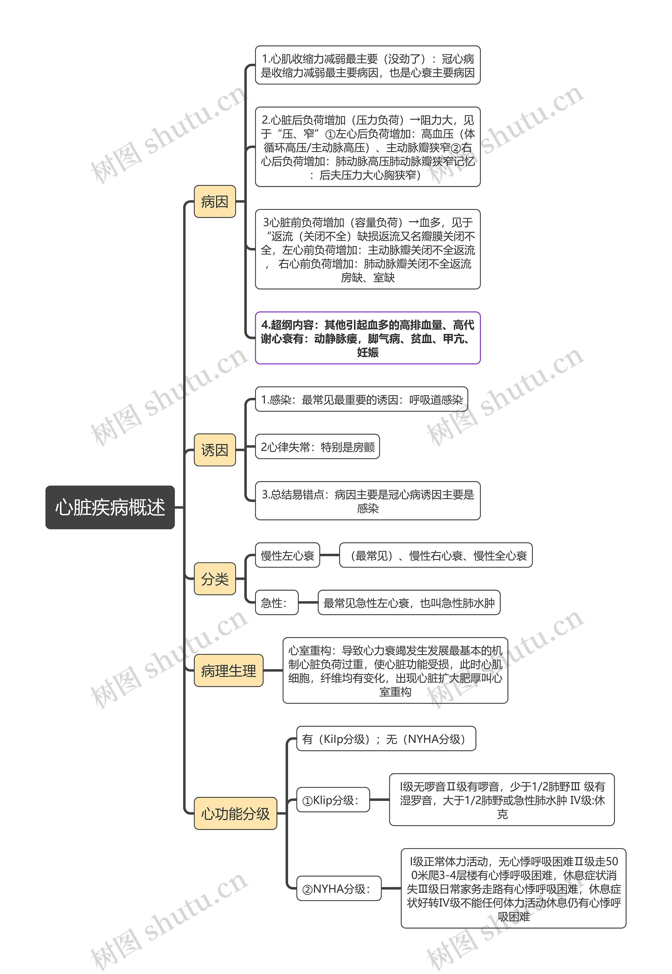 内科学知识心脏疾病概述思维导图