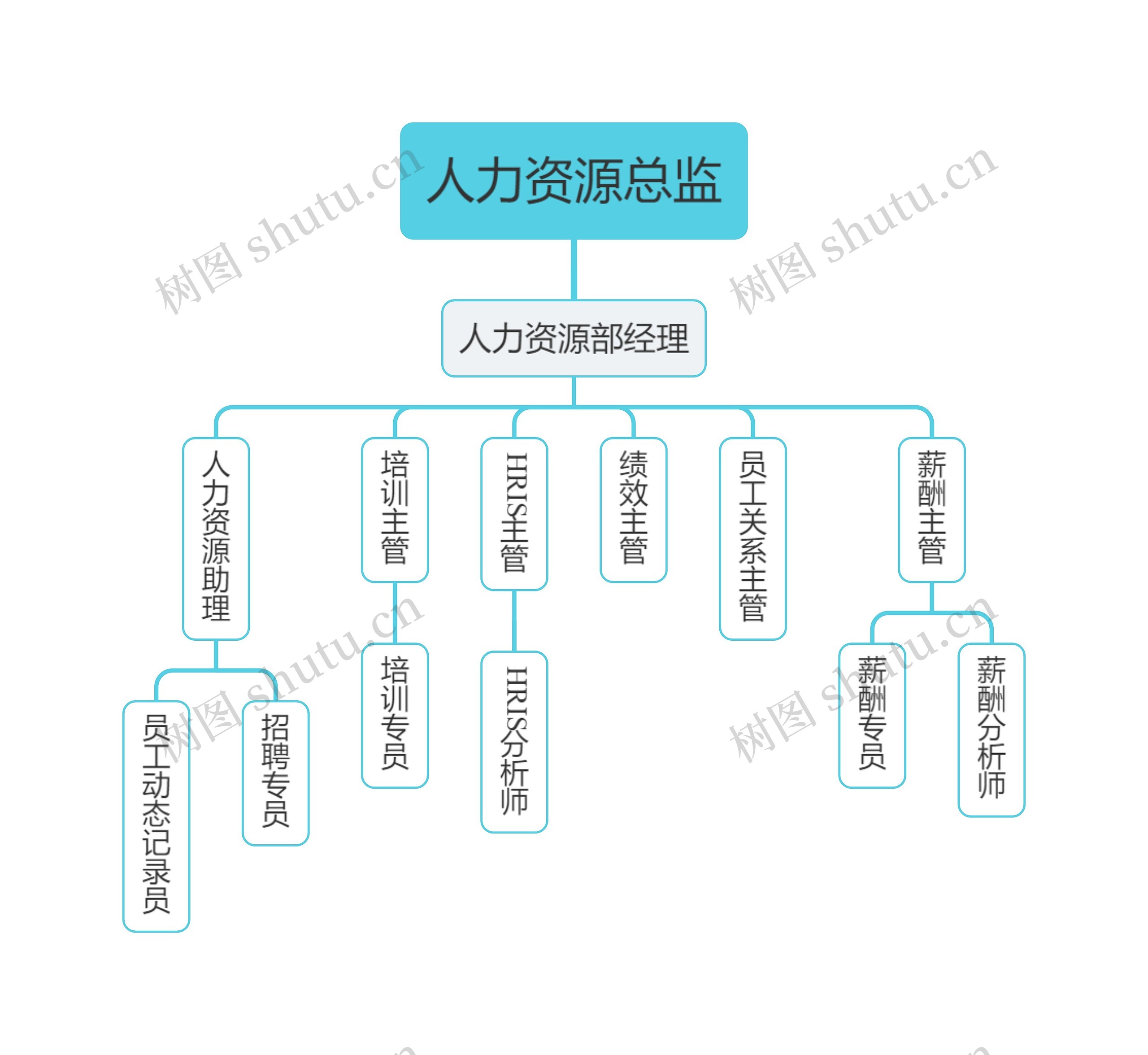 企业人力资源岗位组织架构