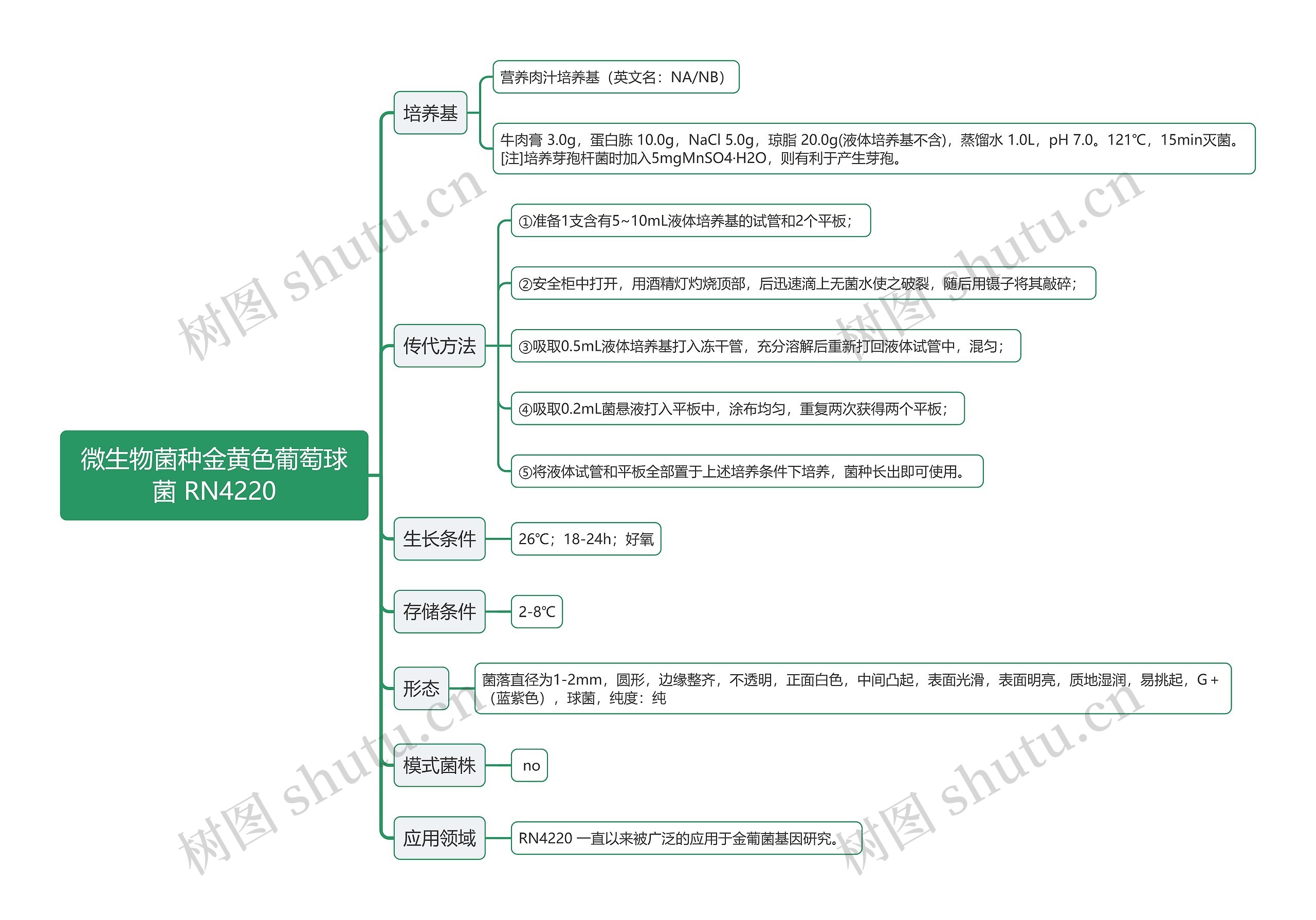 微生物菌种金黄色葡萄球菌 RN4220思维导图