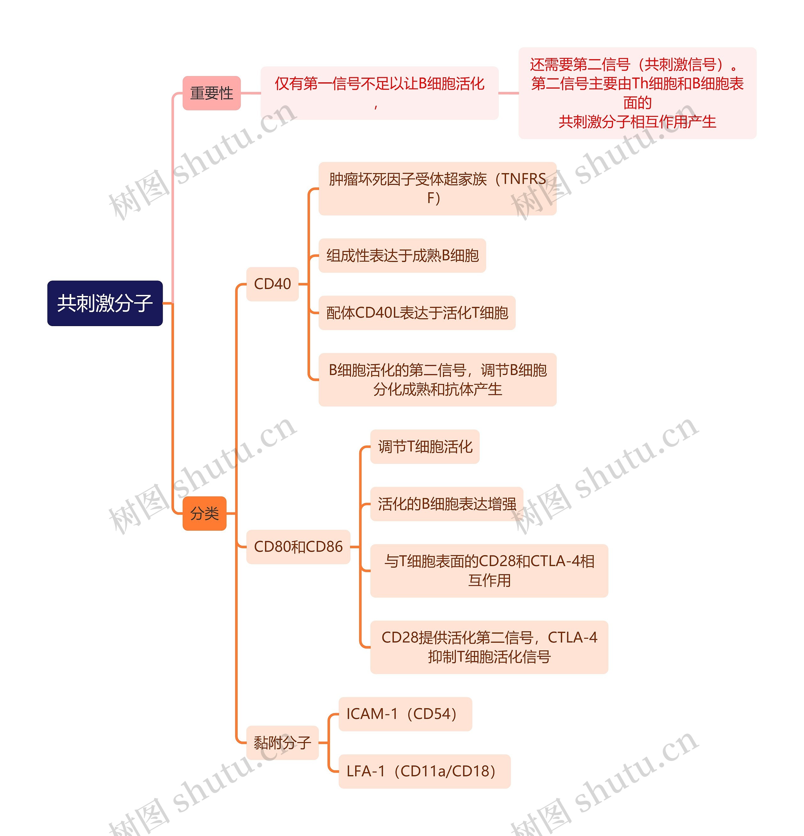 医学知识共刺激分子思维导图