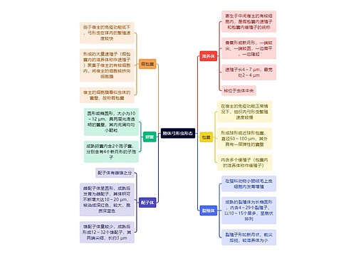 医学知识刚体弓形虫形态思维导图