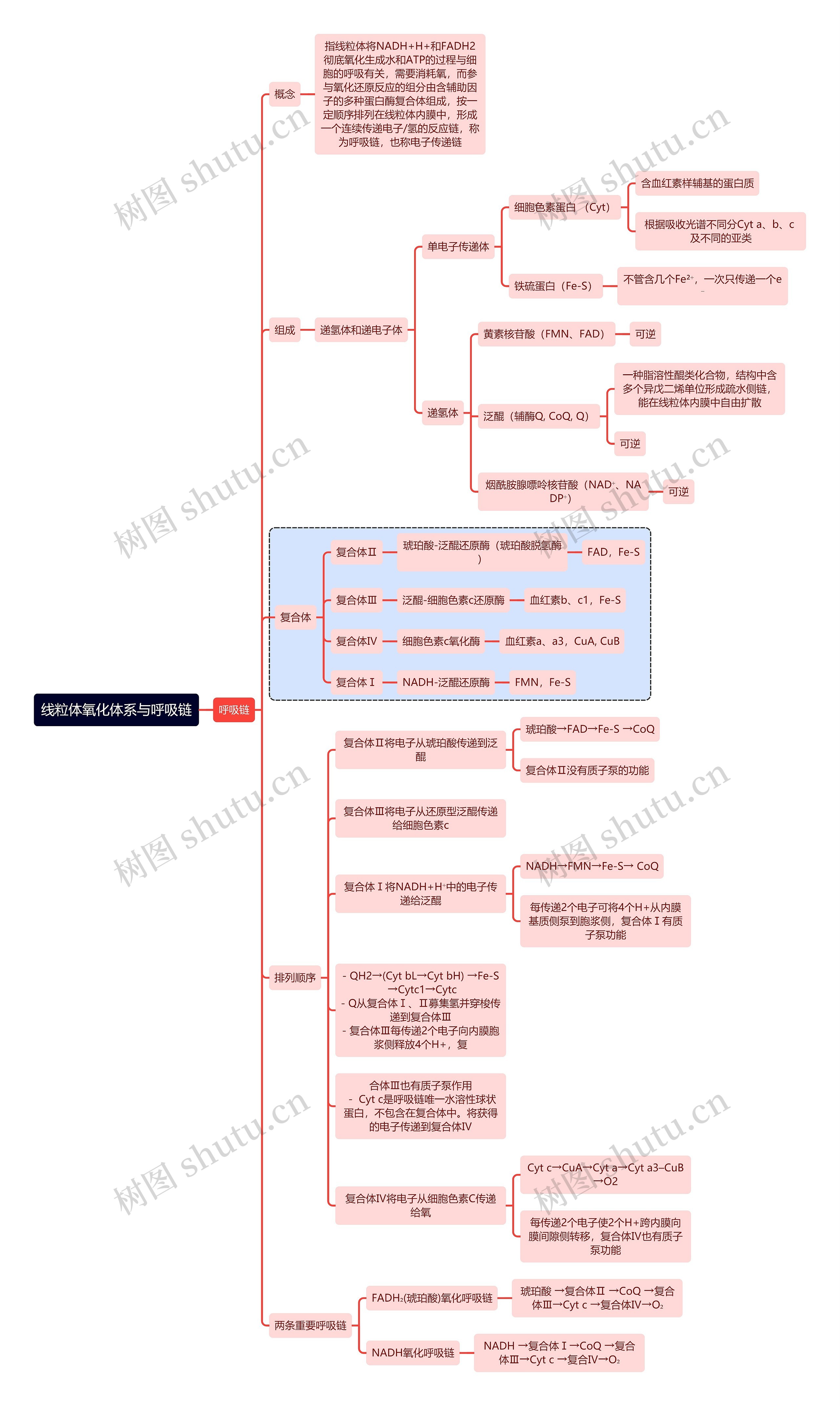 医学知识线粒体氧化体系与呼吸链思维导图