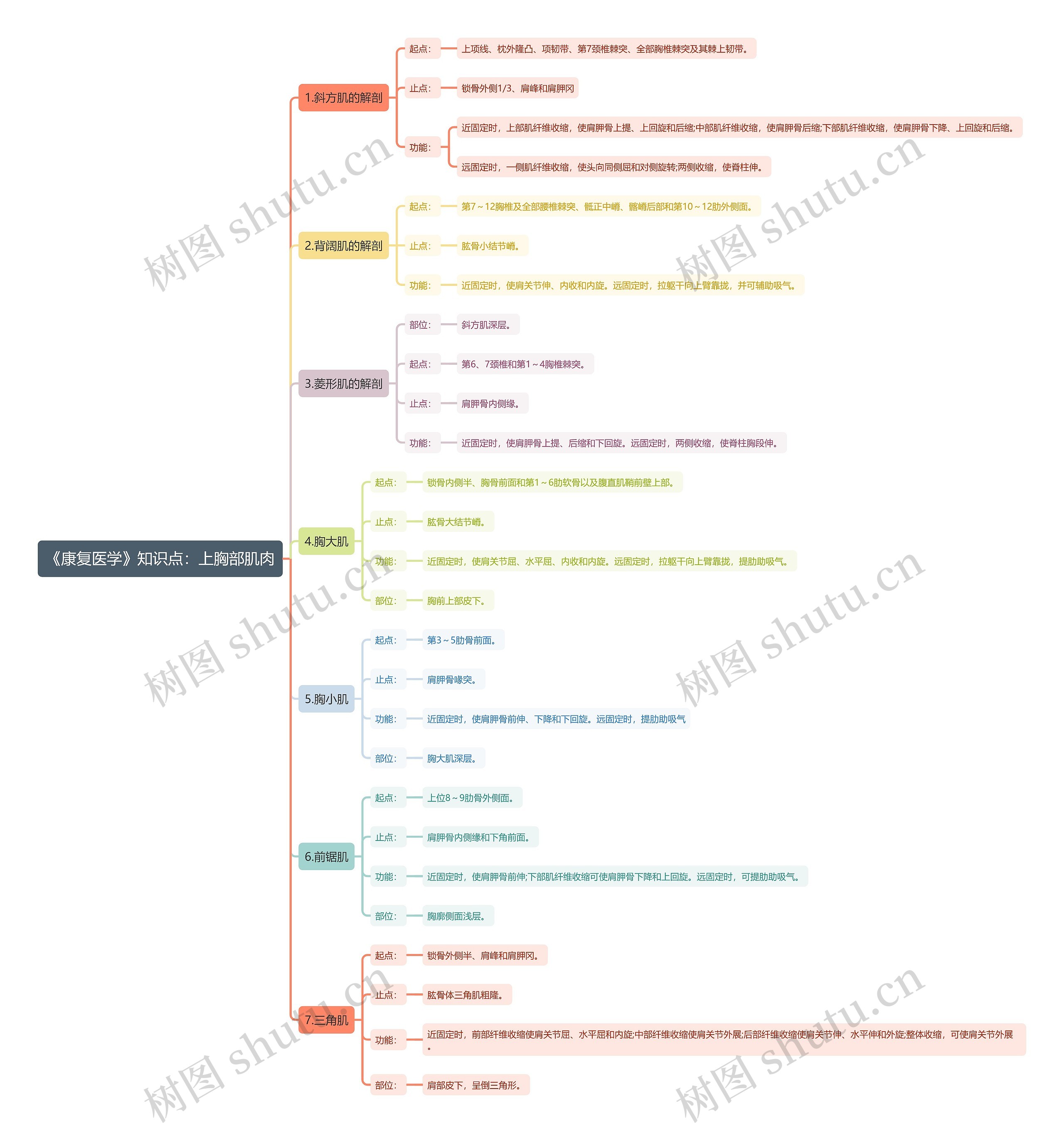《康复医学》知识点：上胸部肌肉思维导图