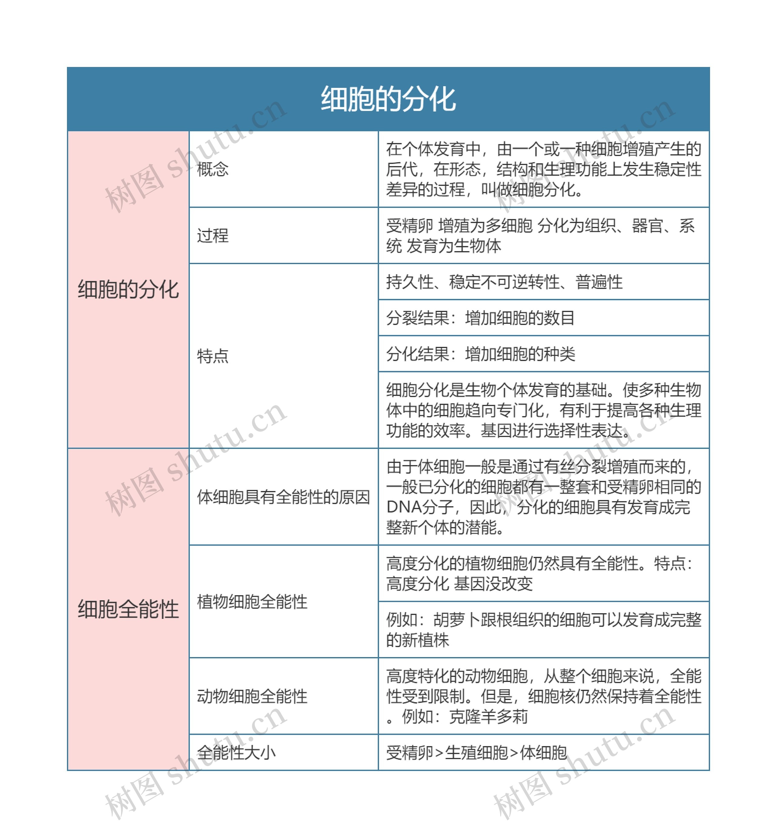 高中生物必修一细胞的分化思维导图