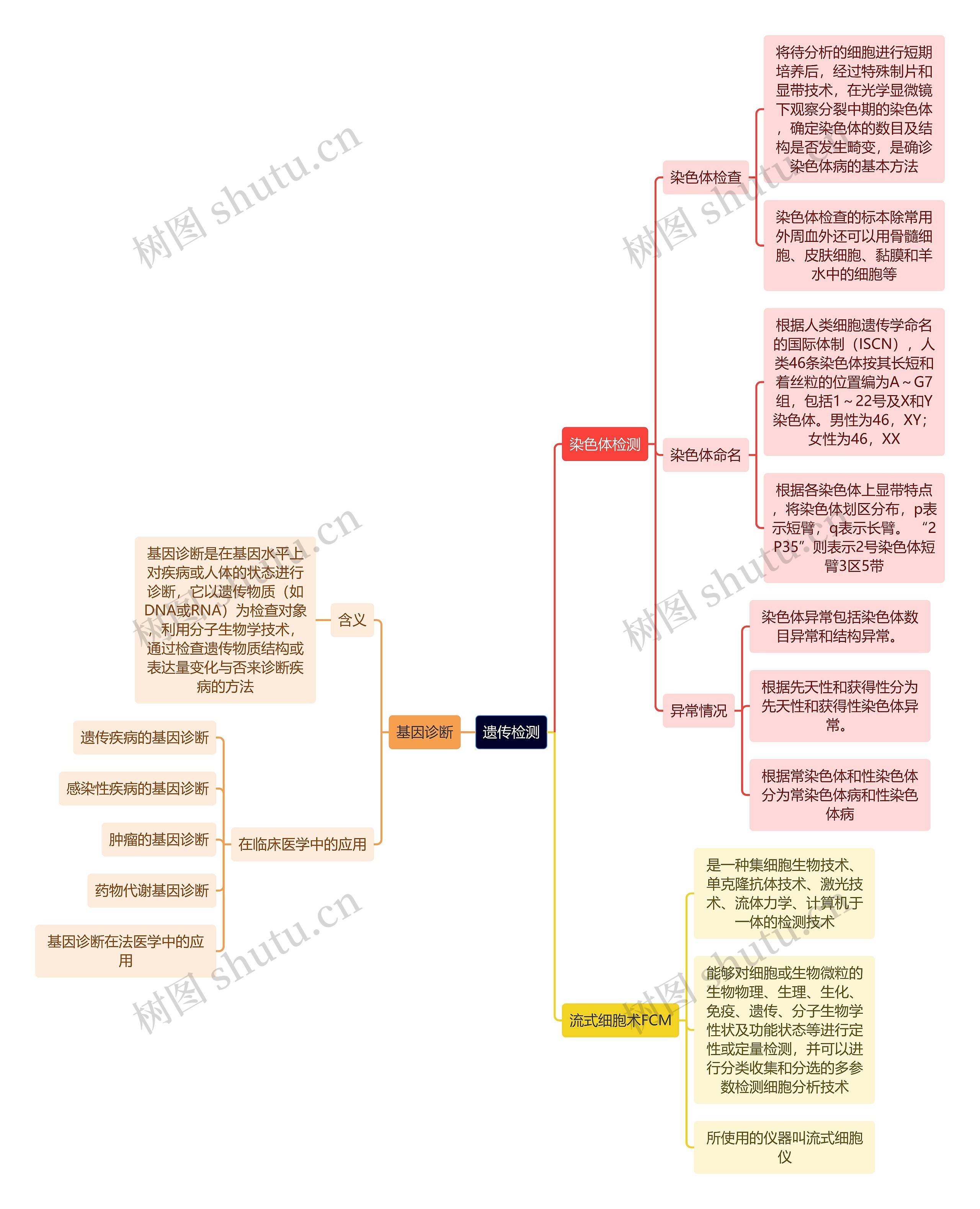 医学知识遗传检测思维导图