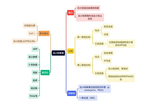 医学知识血小板聚集思维导图