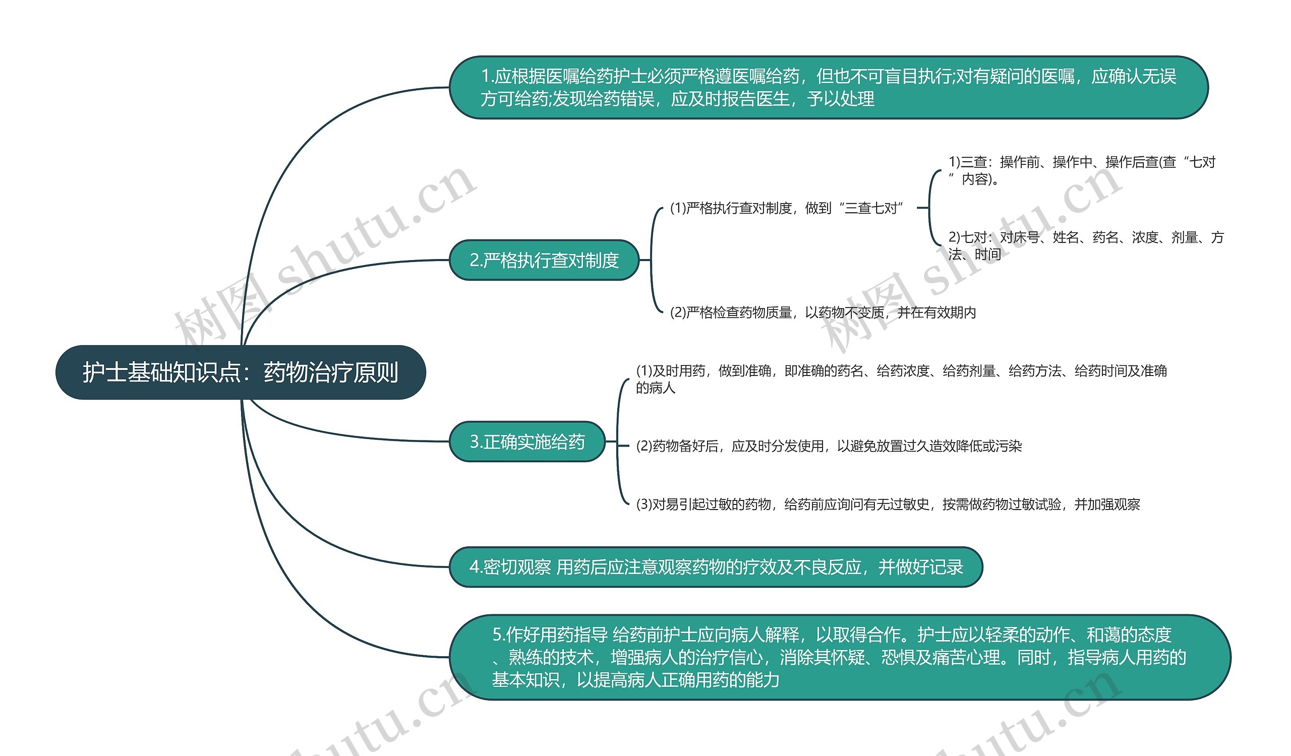 护士基础知识点：药物治疗原则思维导图