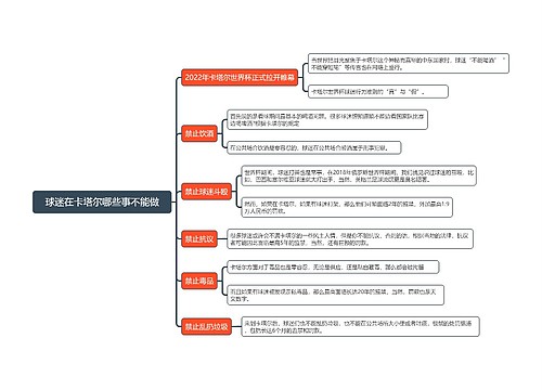 球迷在卡塔尔哪些事不能做