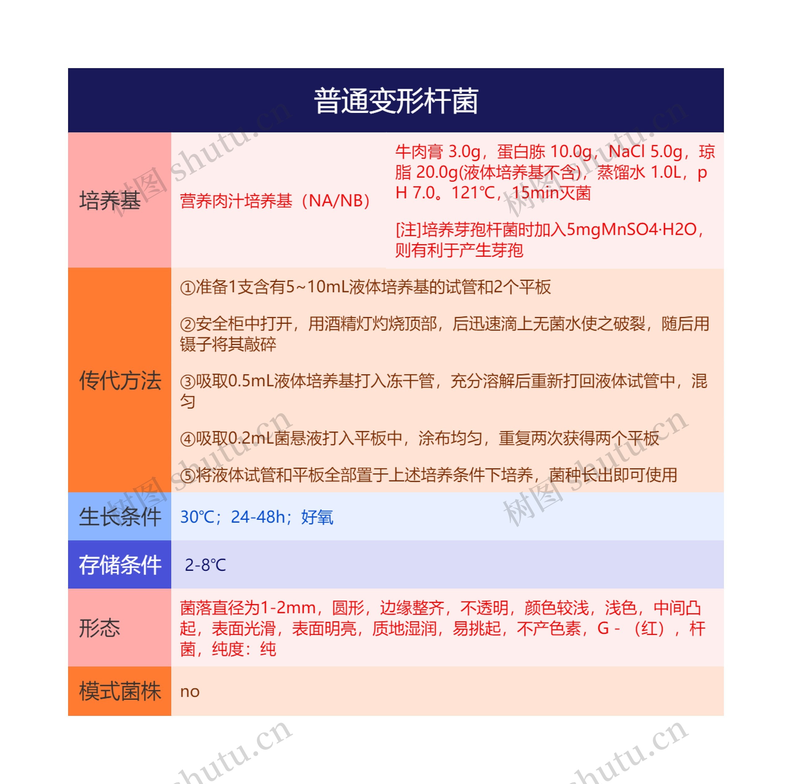 普通变形杆菌思维导图