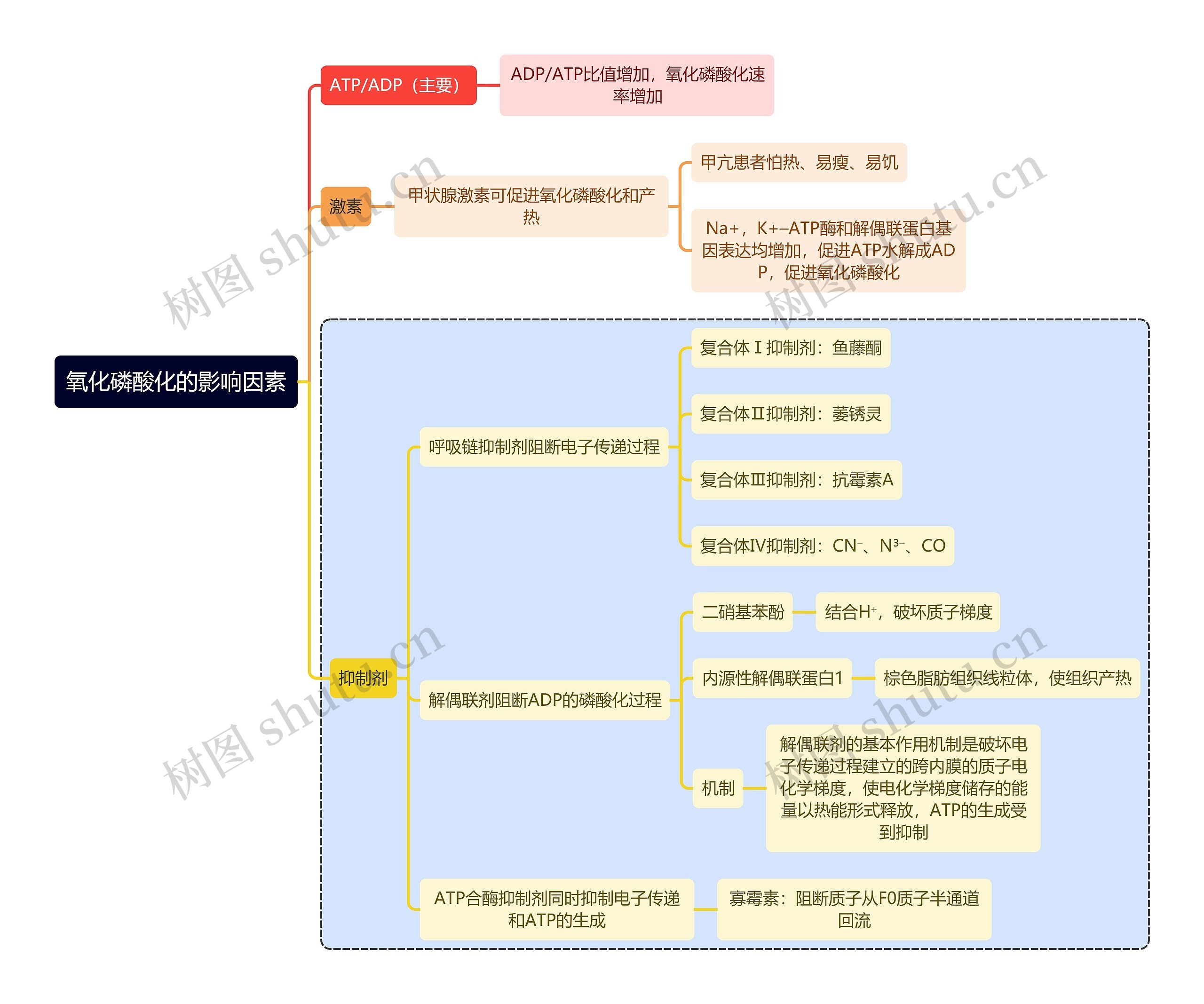 医学知识氧化磷酸化的影响因素思维导图