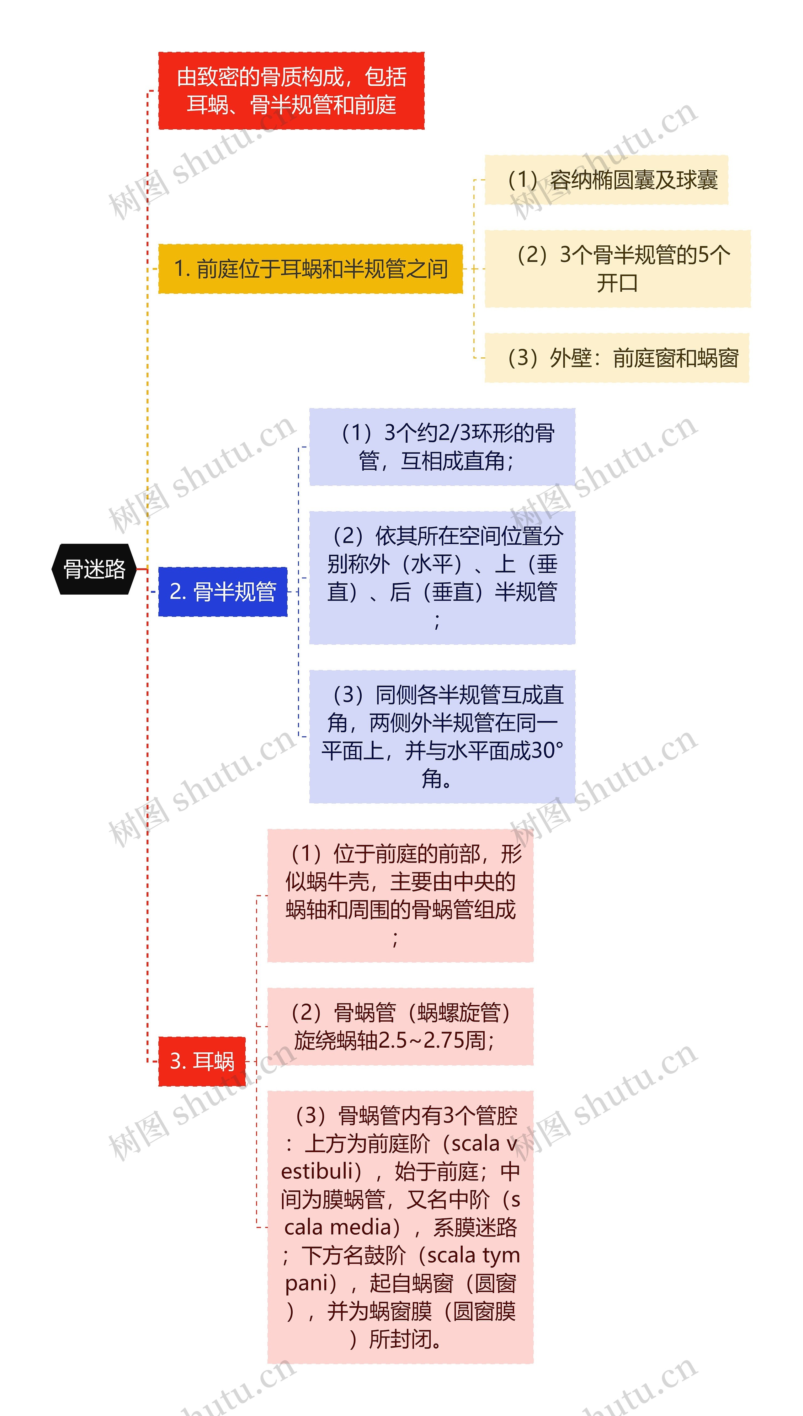 医学知识骨迷路思维导图