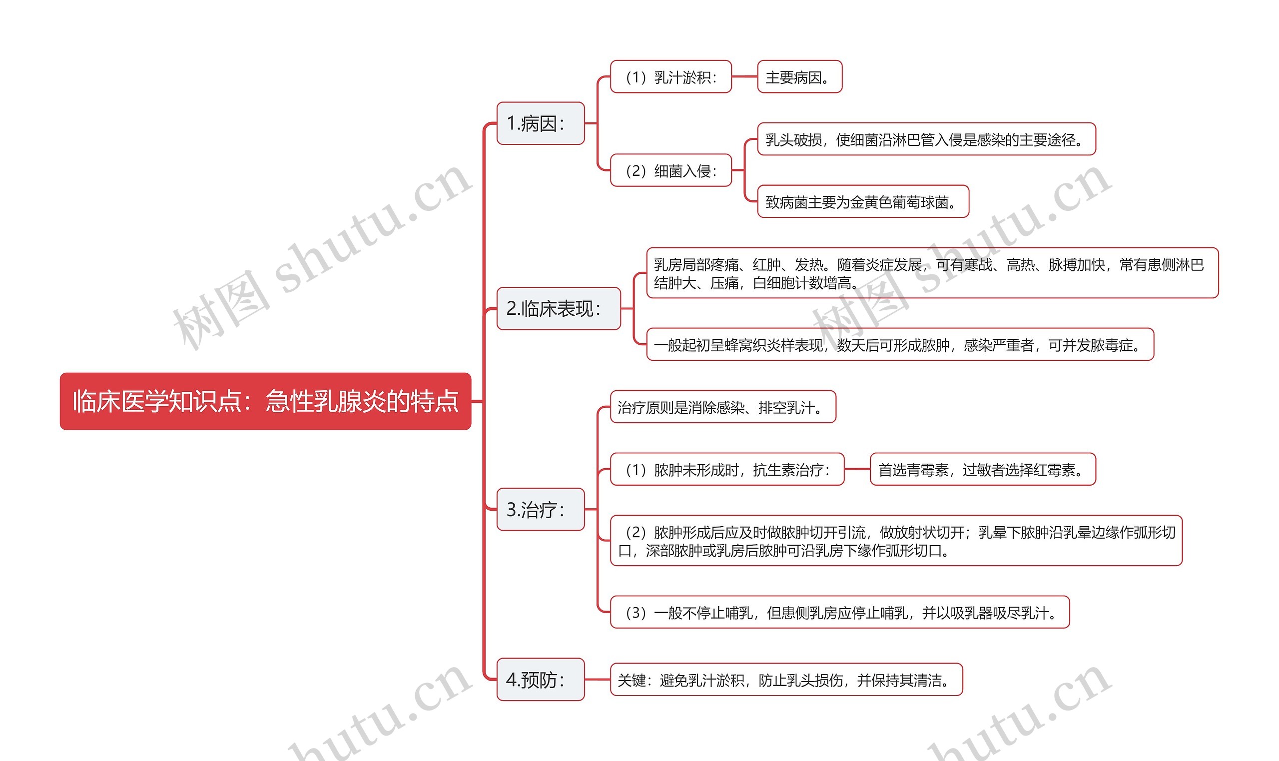 临床医学知识点：急性乳腺炎的特点思维导图